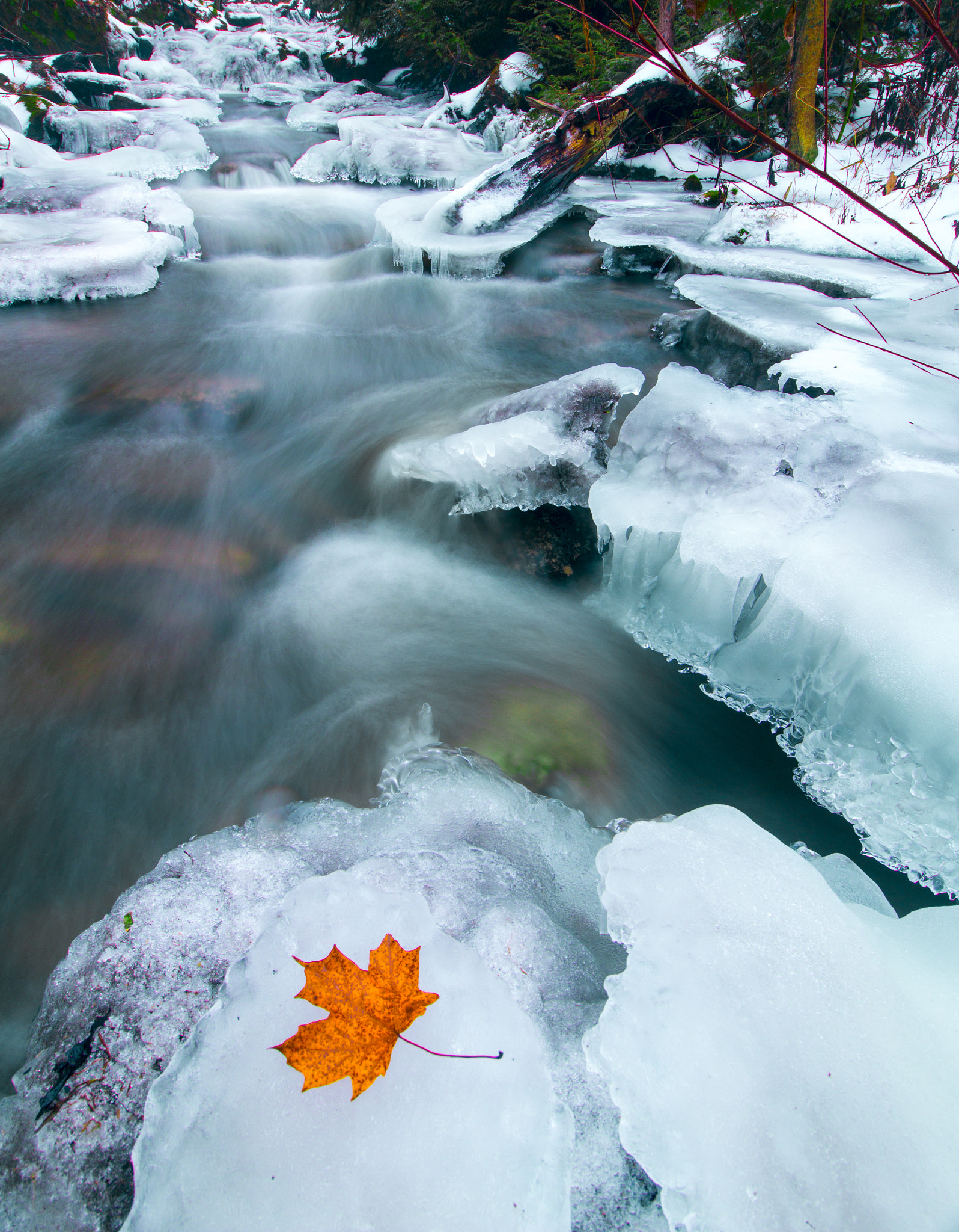 Canon EF-S 10-18mm F4.5–5.6 IS STM sample photo. Up the river photography