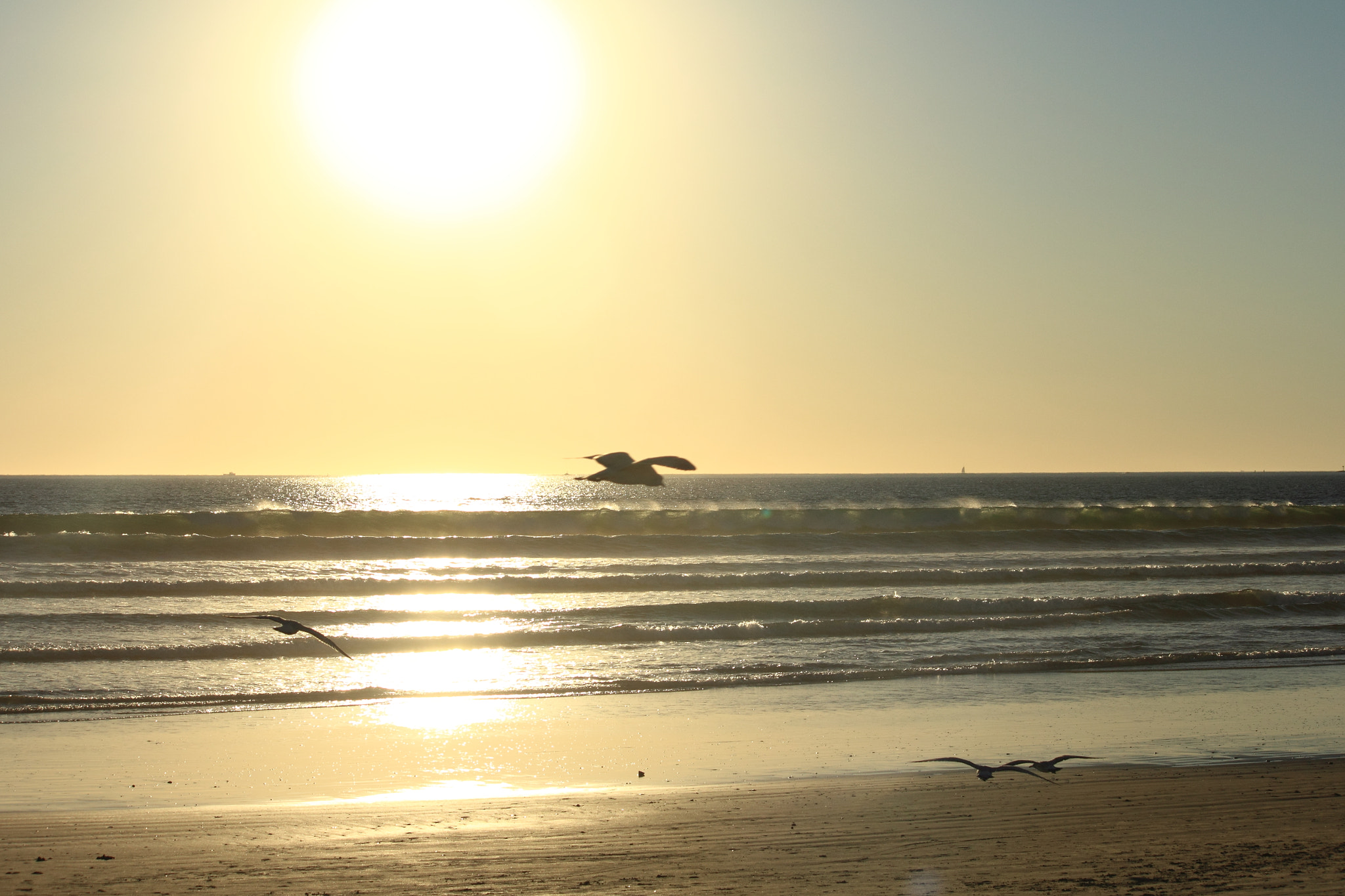 Canon EF-S 55-250mm F4-5.6 IS sample photo. Coronado beach photography