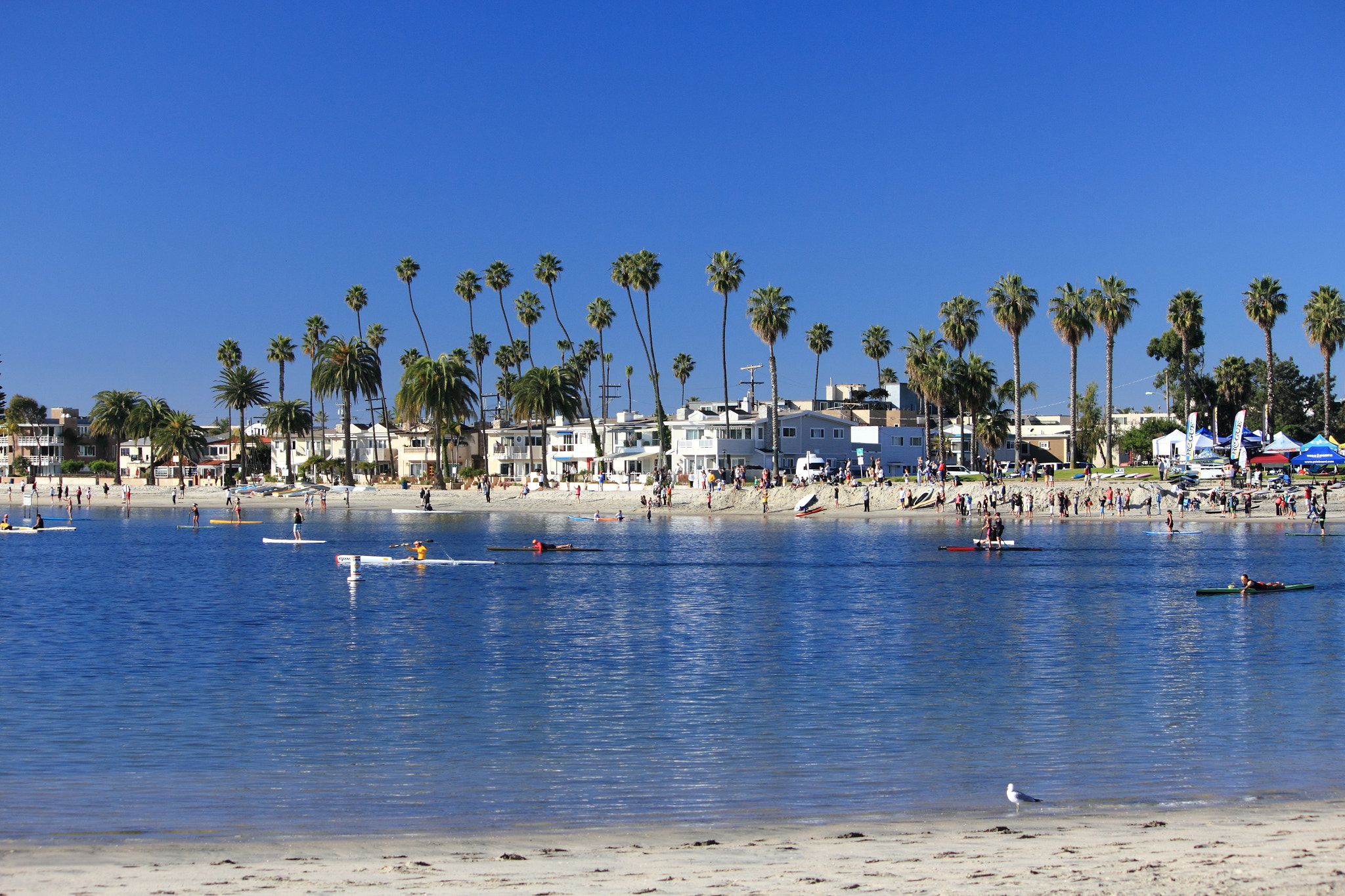 Canon EF-S 55-250mm F4-5.6 IS sample photo. Mission bay, california photography