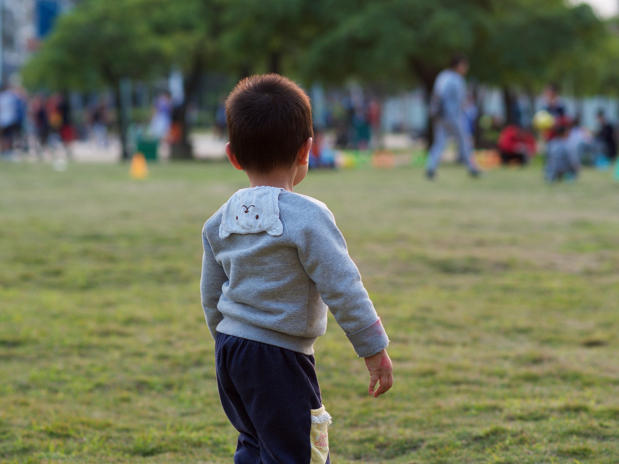 Olympus OM-D E-M5 + Olympus M.Zuiko Digital ED 75mm F1.8 sample photo. 草地玩耍 photography
