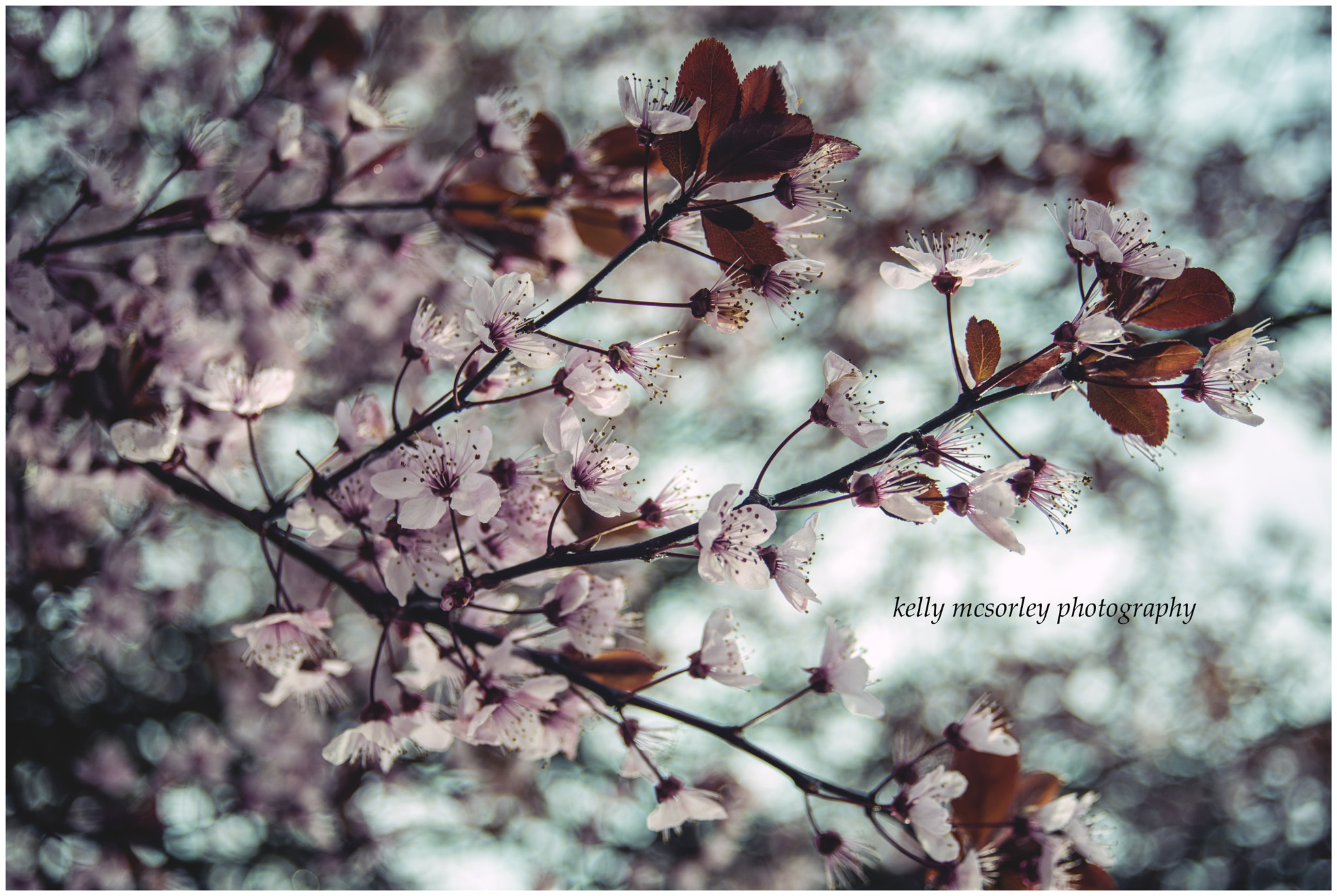 AF Zoom-Nikkor 28-80mm f/3.3-5.6G sample photo. .... photography