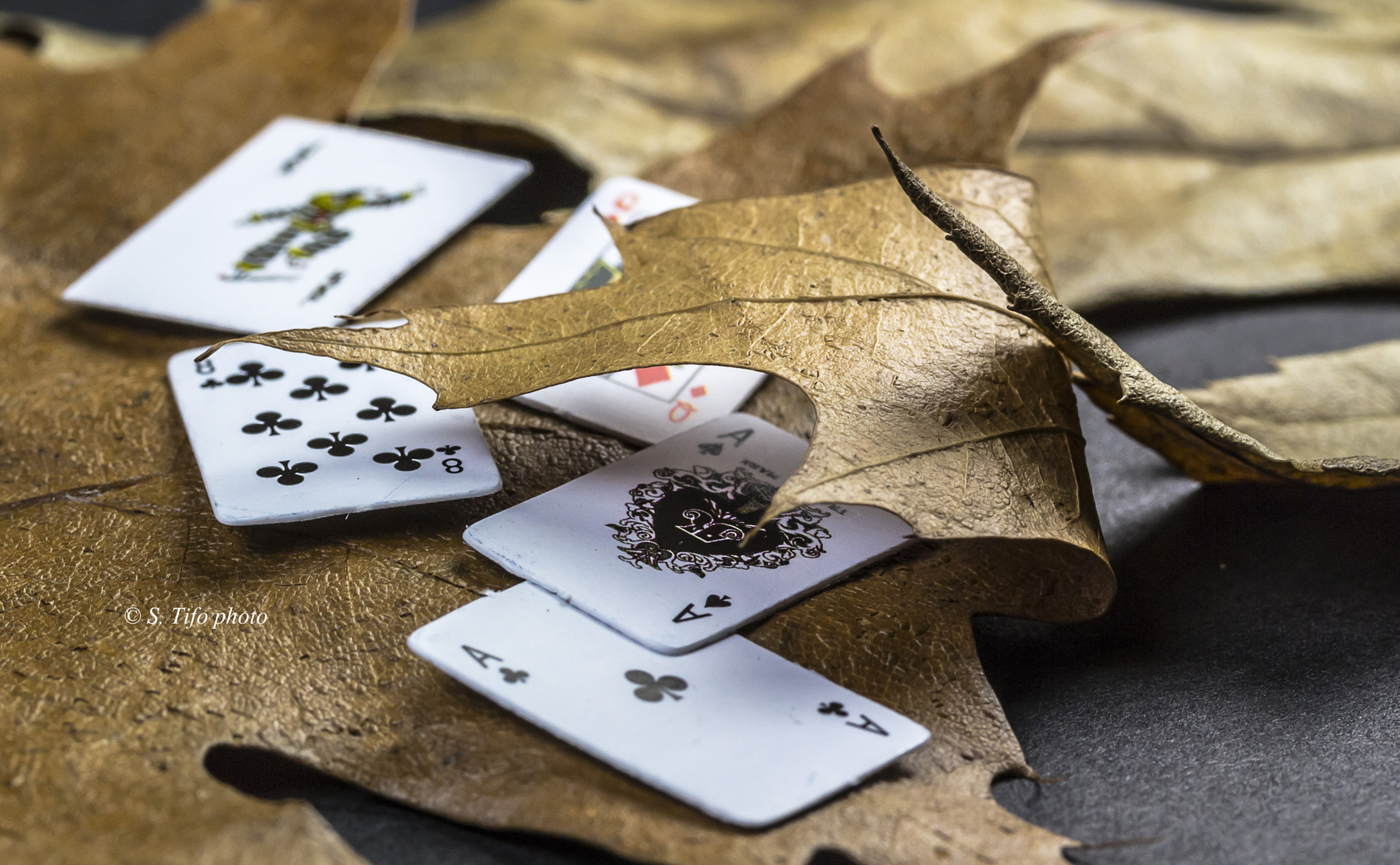 Canon EF-S 60mm F2.8 Macro USM sample photo. Playing cards .... photography