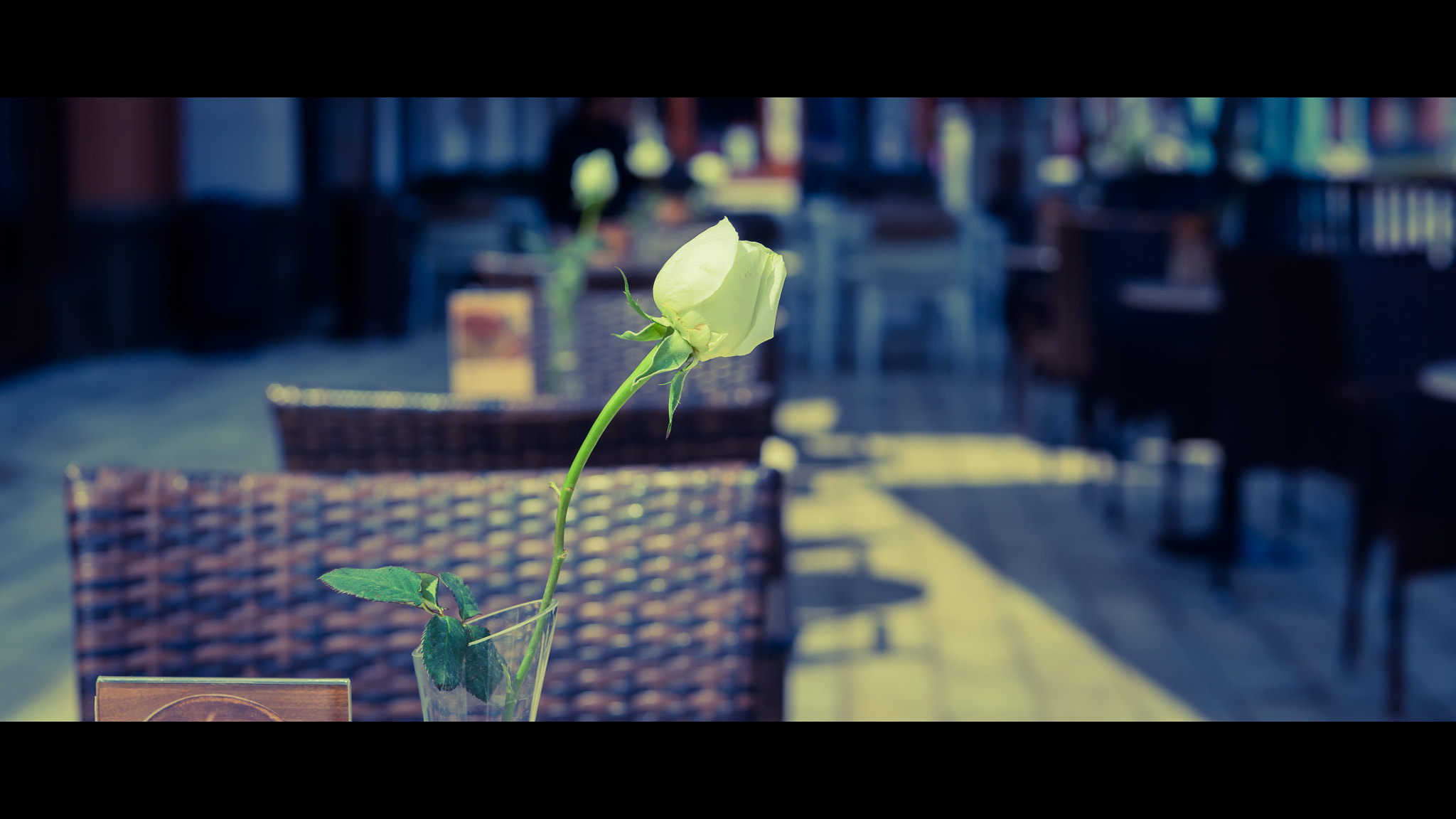 Sony a7 + Sony 50mm F1.4 sample photo. Noontime in suzhou villace photography