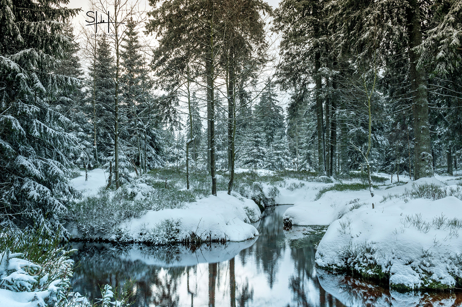 Sigma 18-50mm F2.8-4.5 DC OS HSM sample photo. Winterwald photography