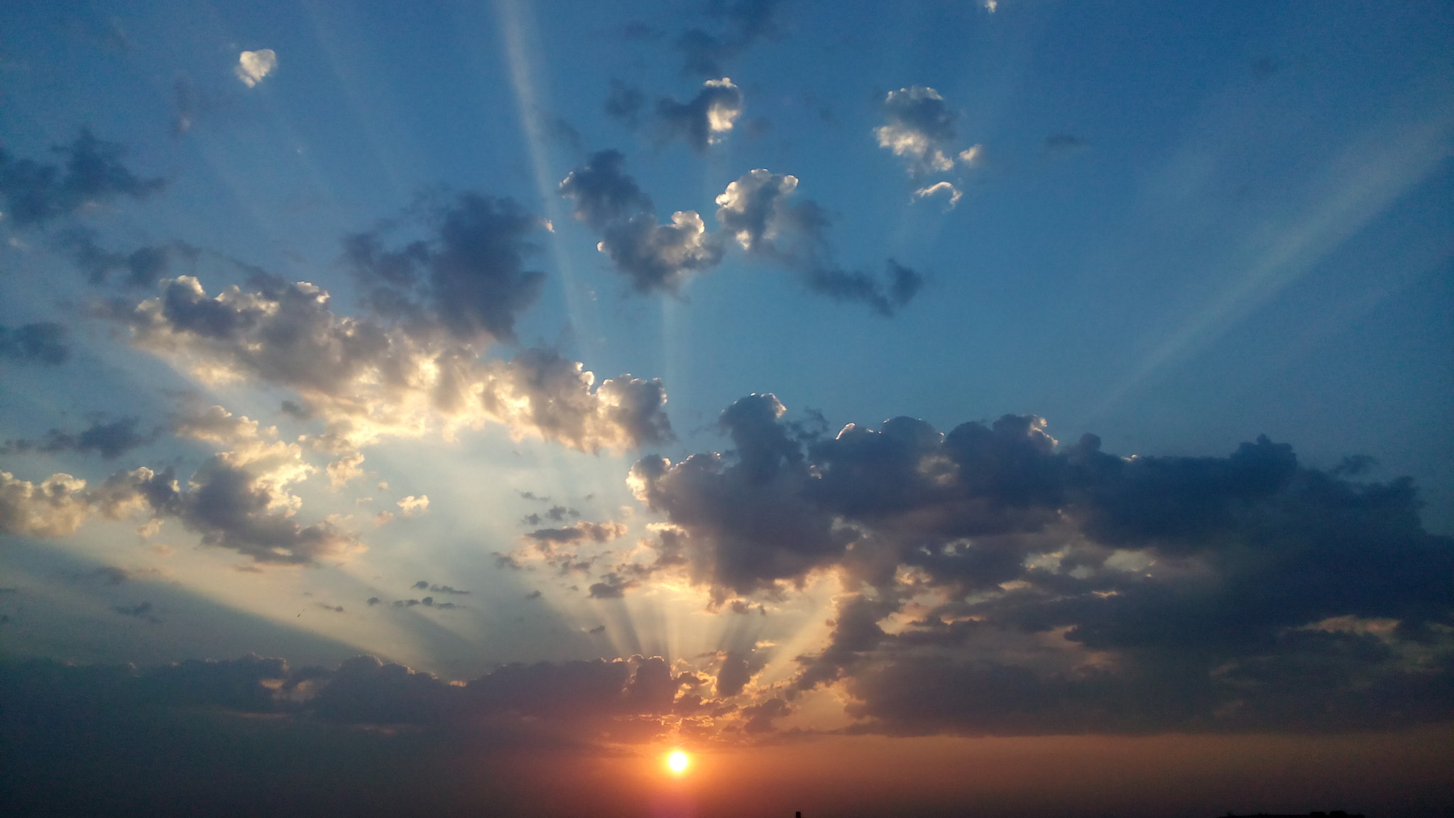 Micromax Canvas Spark sample photo. Oh its good morning ..!!! photography