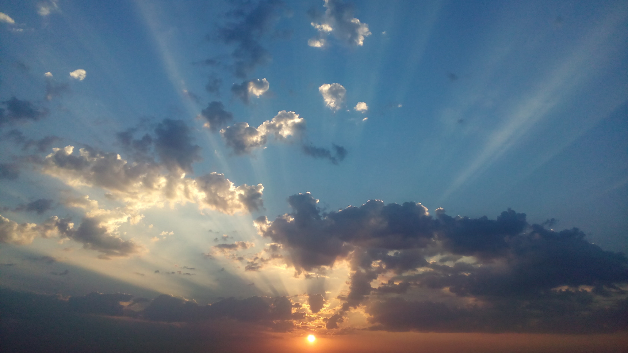 Micromax Canvas Spark sample photo. Oh its good morning ..!!! photography
