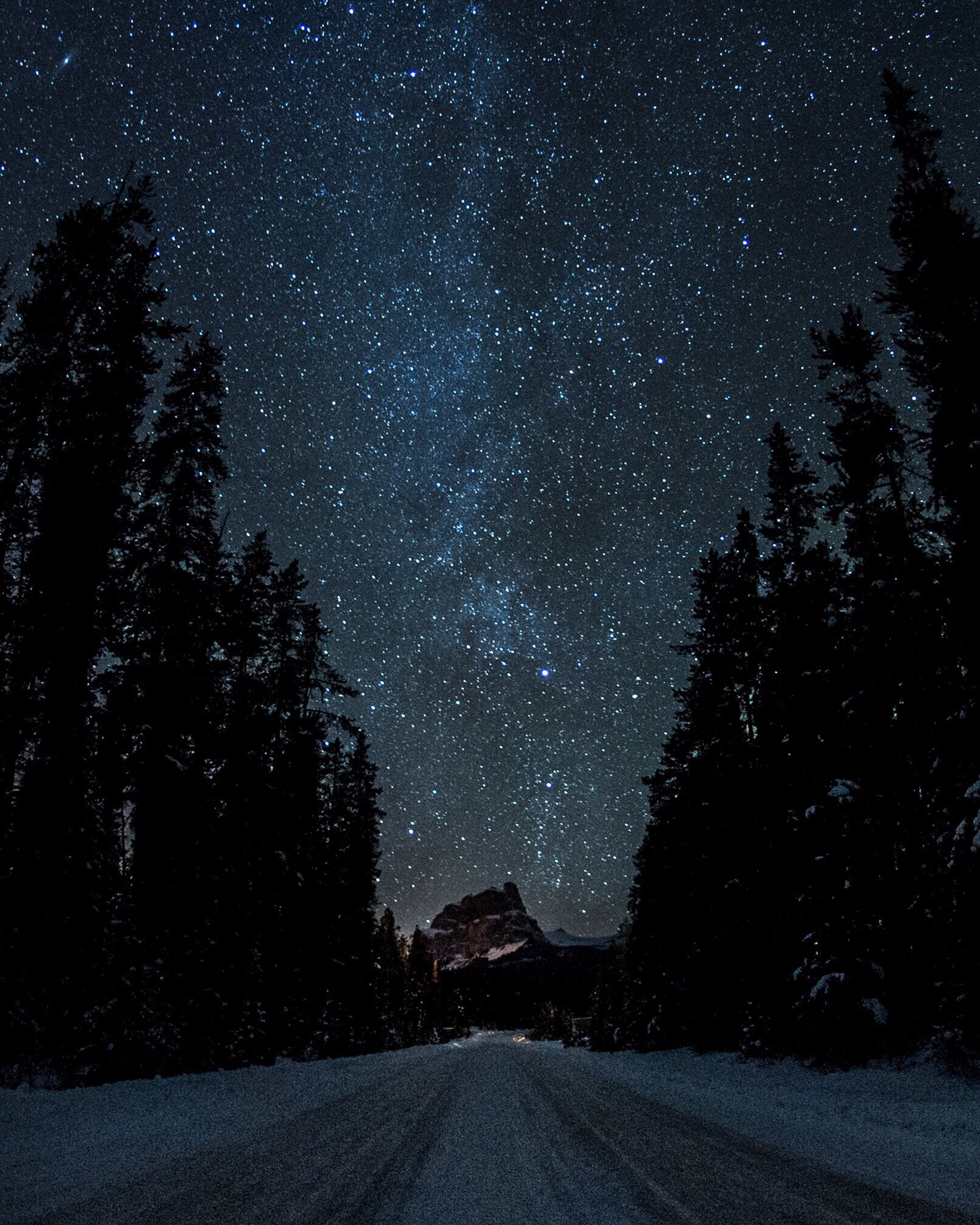 Nikon AF DX Fisheye-Nikkor 10.5mm F2.8G ED sample photo. Stars & bow valley parkway. castle mountain. banff. alberta. photography