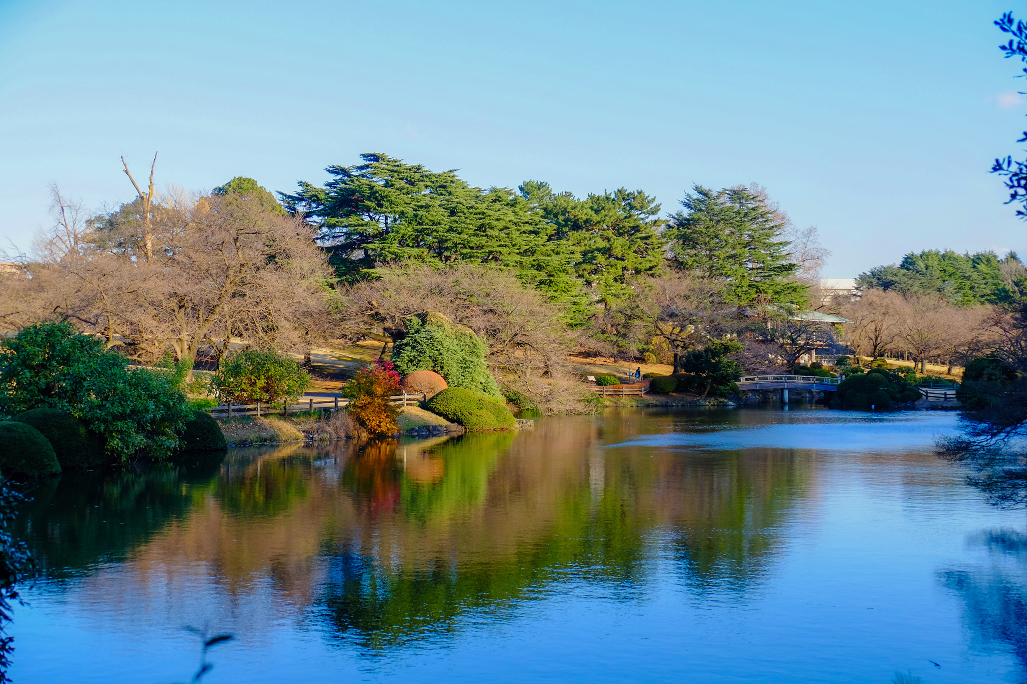 Fujifilm X-E2 + Fujifilm XF 18-135mm F3.5-5.6 R LM OIS WR sample photo. Shinjuku gyoen photography