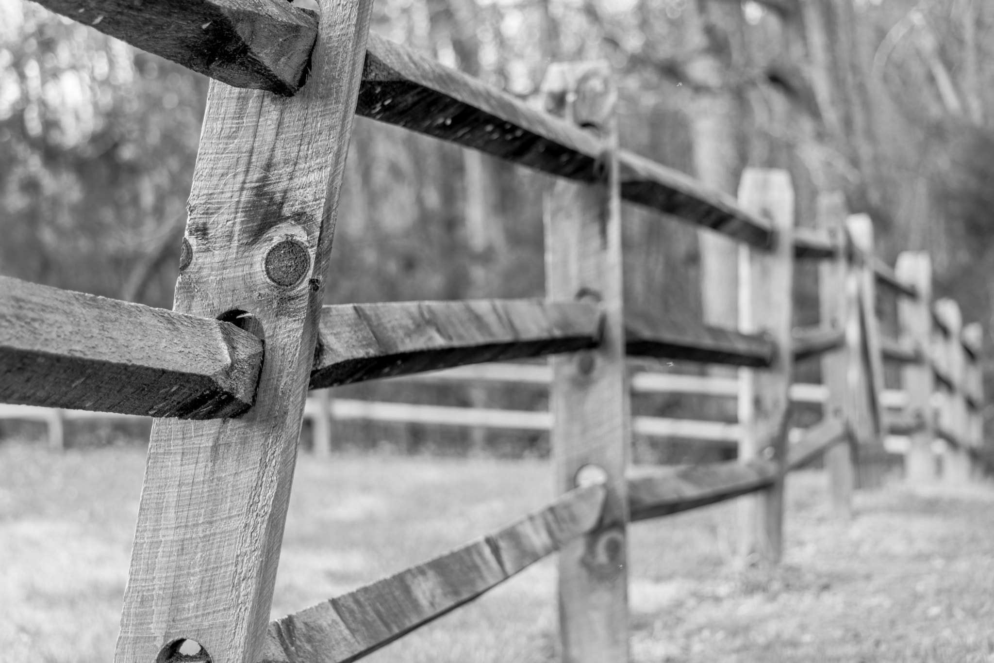 Nikon D600 + Sigma 70-300mm F4-5.6 DG OS sample photo. Twisting fence photography