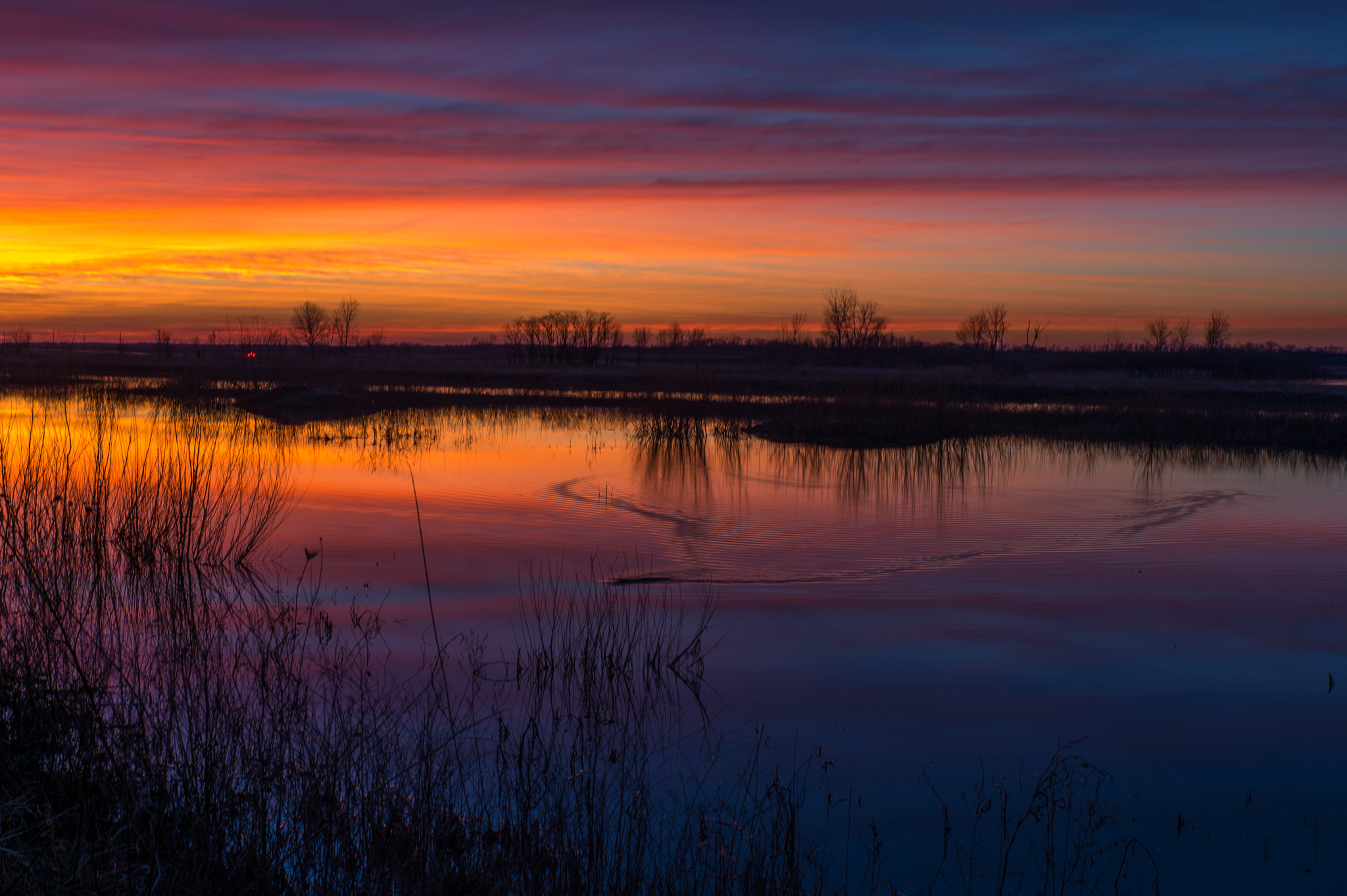 Nikon Df sample photo. Twilight photography
