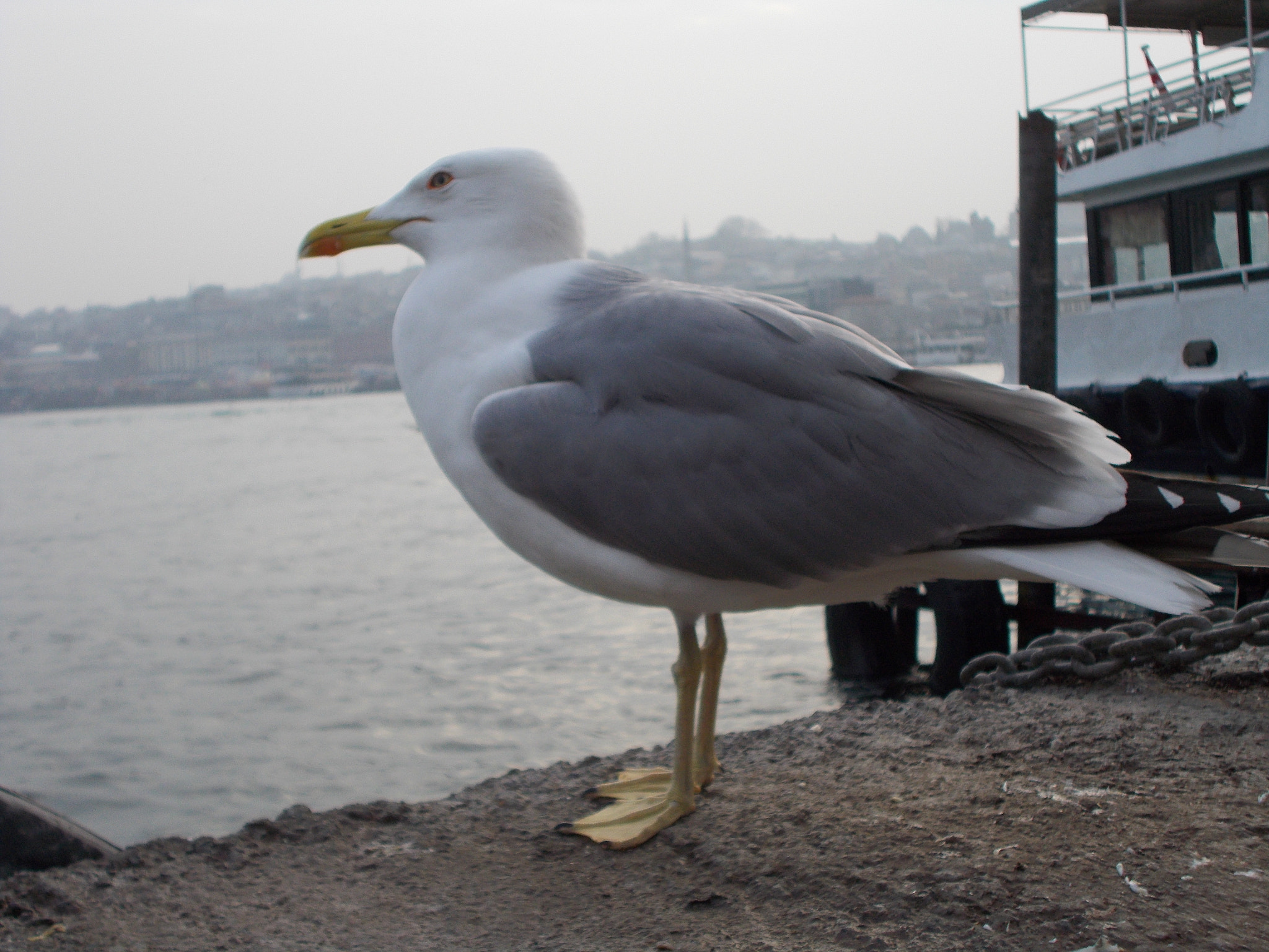 Nikon Coolpix L26 sample photo. Istanbul / turkey photography