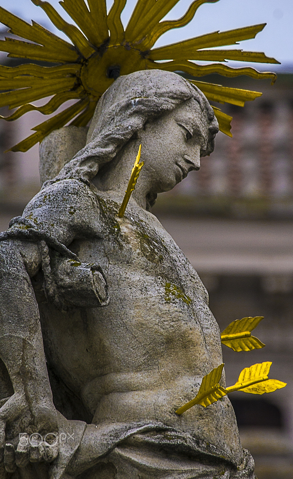 Sony 70-300mm F4.5-5.6 G SSM sample photo. Martyr photography