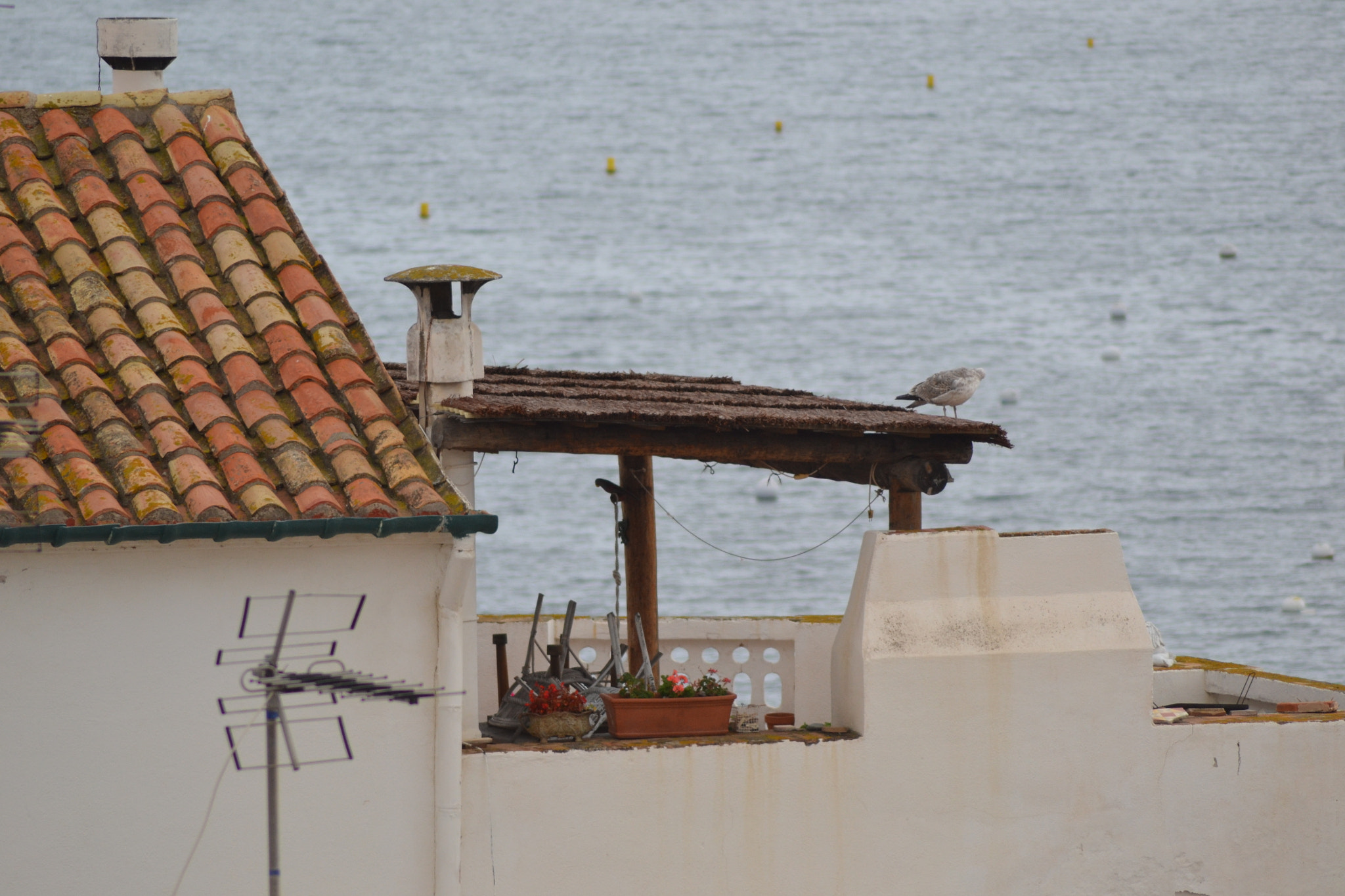 Nikon AF Nikkor 70-300mm F4-5.6G sample photo. Cadaqués photography