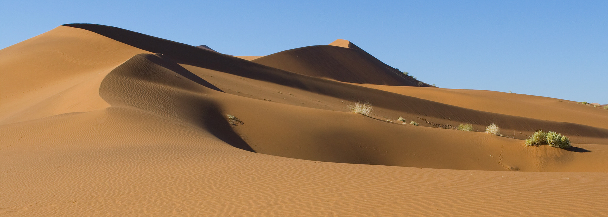 Canon EOS 400D (EOS Digital Rebel XTi / EOS Kiss Digital X) + EF28-70mm f/2.8L USM sample photo. Namib desert panoramica photography