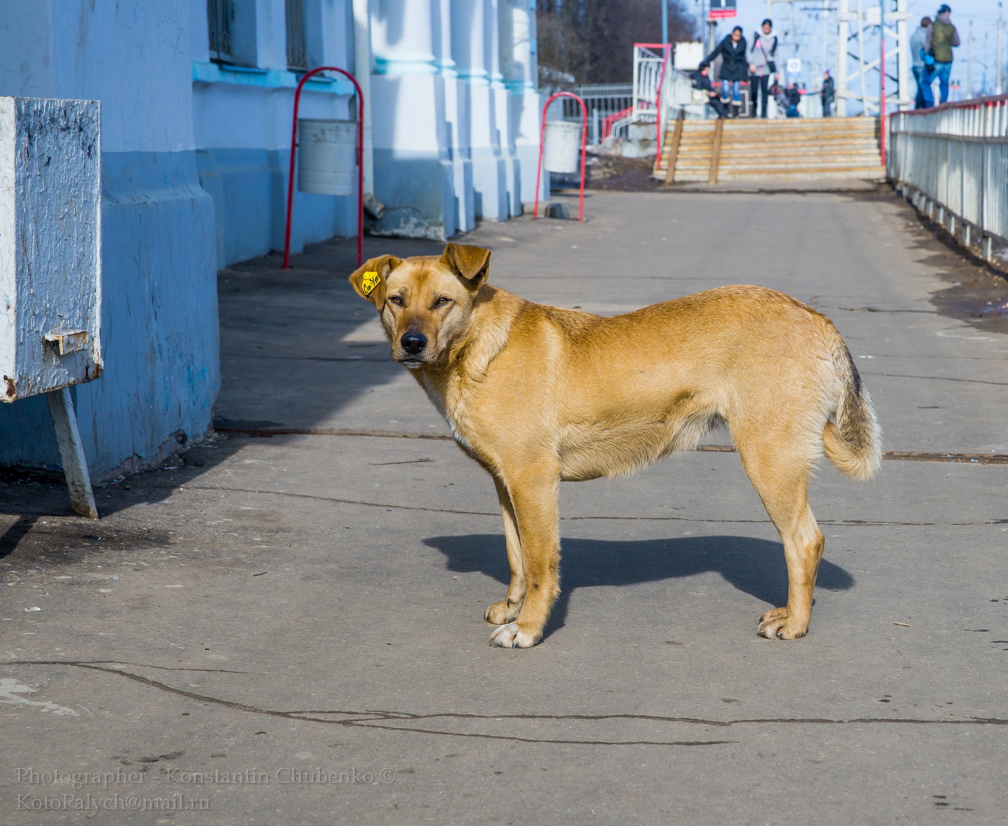 Sony a99 II + 24-70mm F2.8 sample photo. Od photography