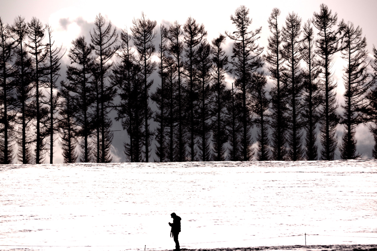 Pentax smc DA 50-200mm F4-5.6 ED WR sample photo. Fool on the hill photography