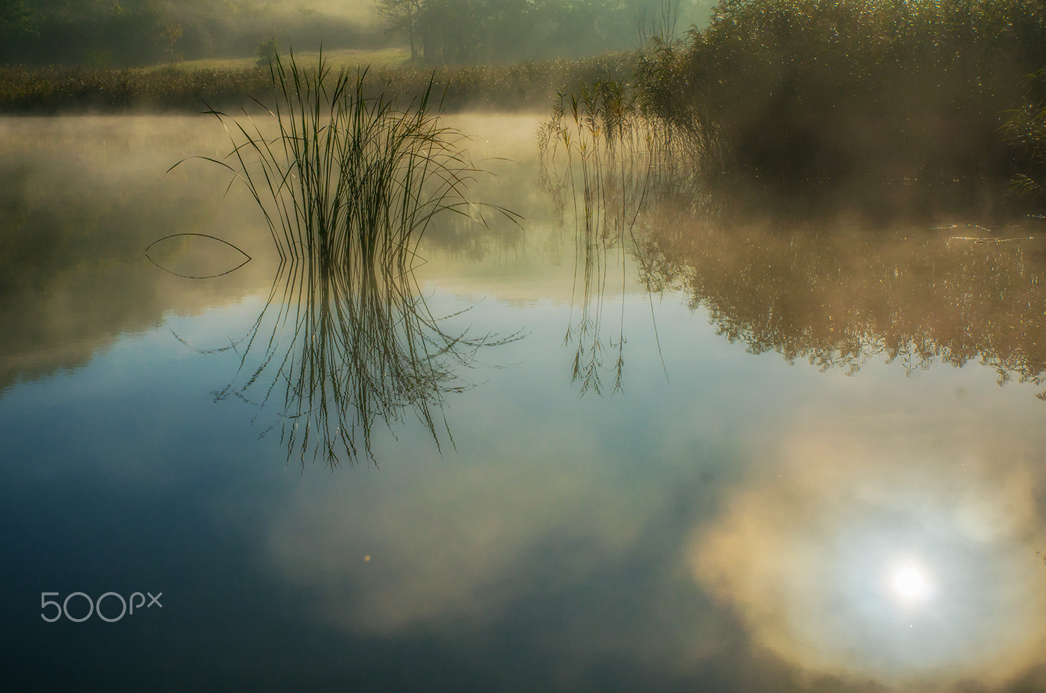 Sony ILCA-77M2 + Tamron SP 24-70mm F2.8 Di VC USD sample photo. Morning dream photography