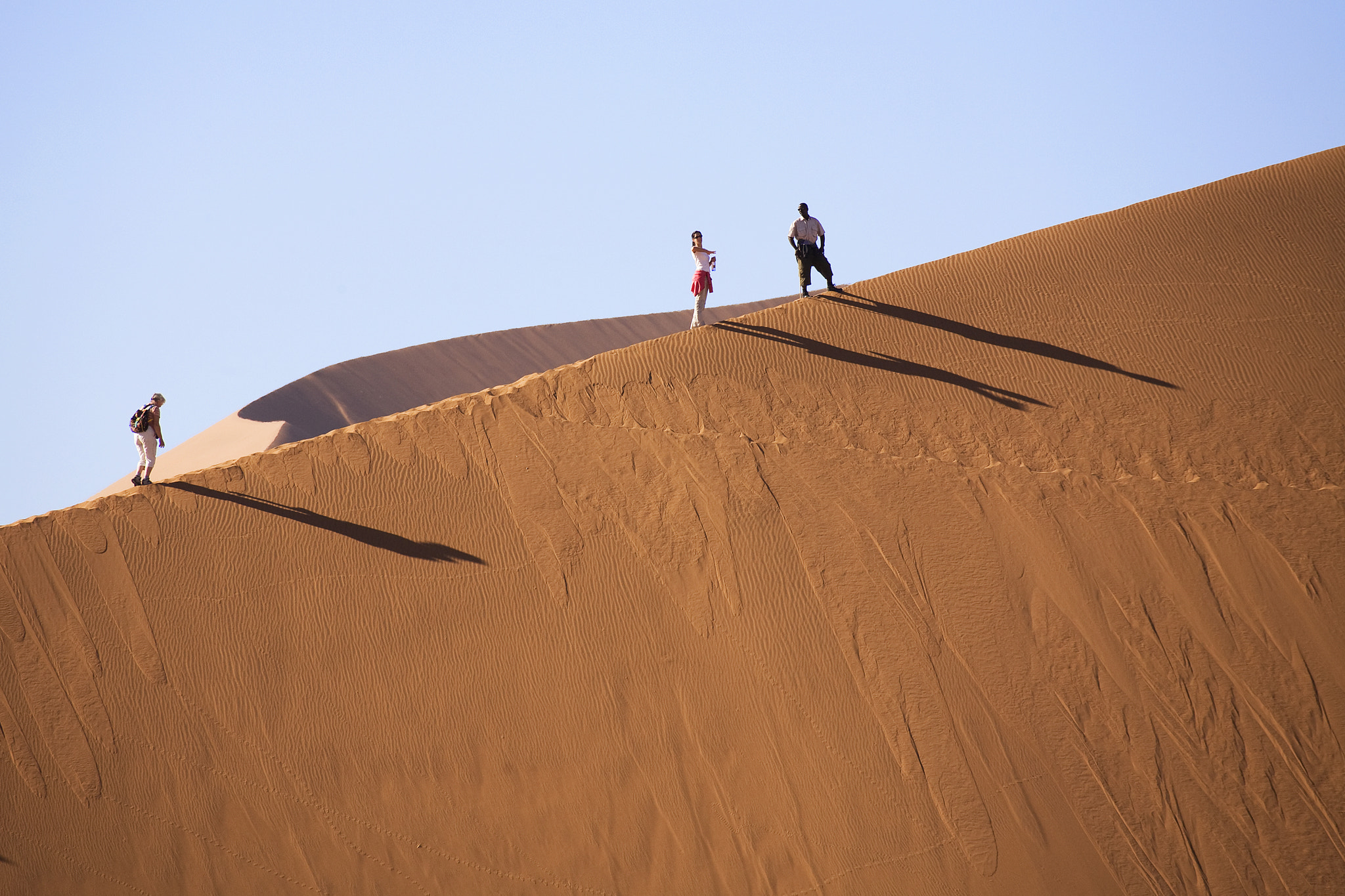 Canon EF 100-400mm F4.5-5.6L IS USM sample photo. Namib desert photography