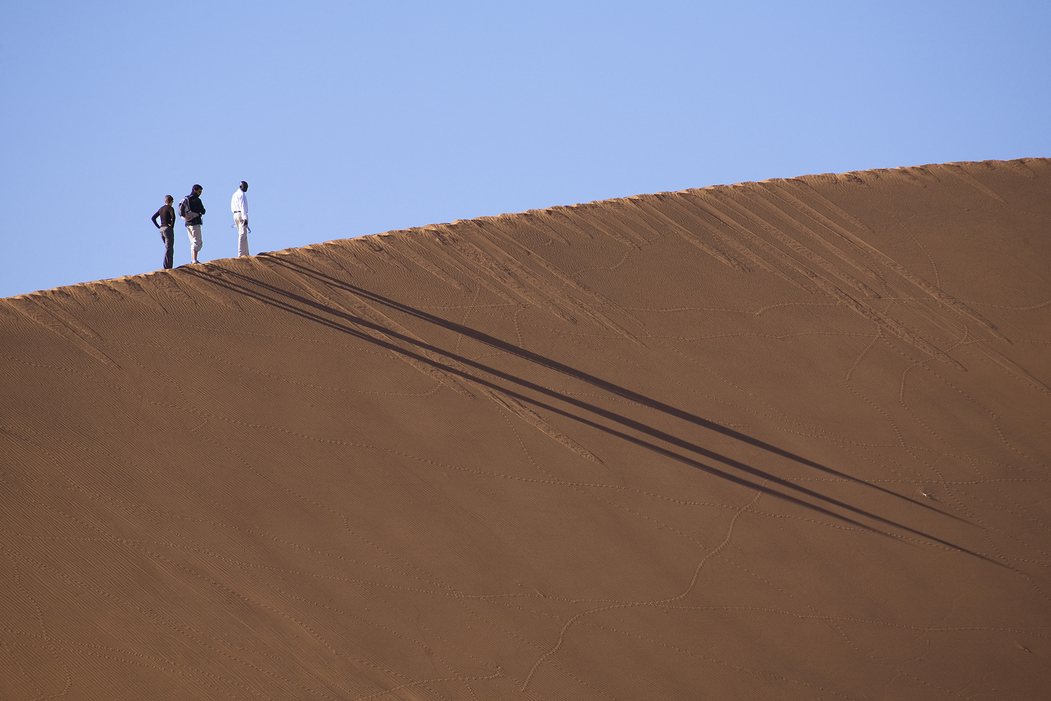 Canon EF 100-400mm F4.5-5.6L IS USM sample photo. Namib desert photography