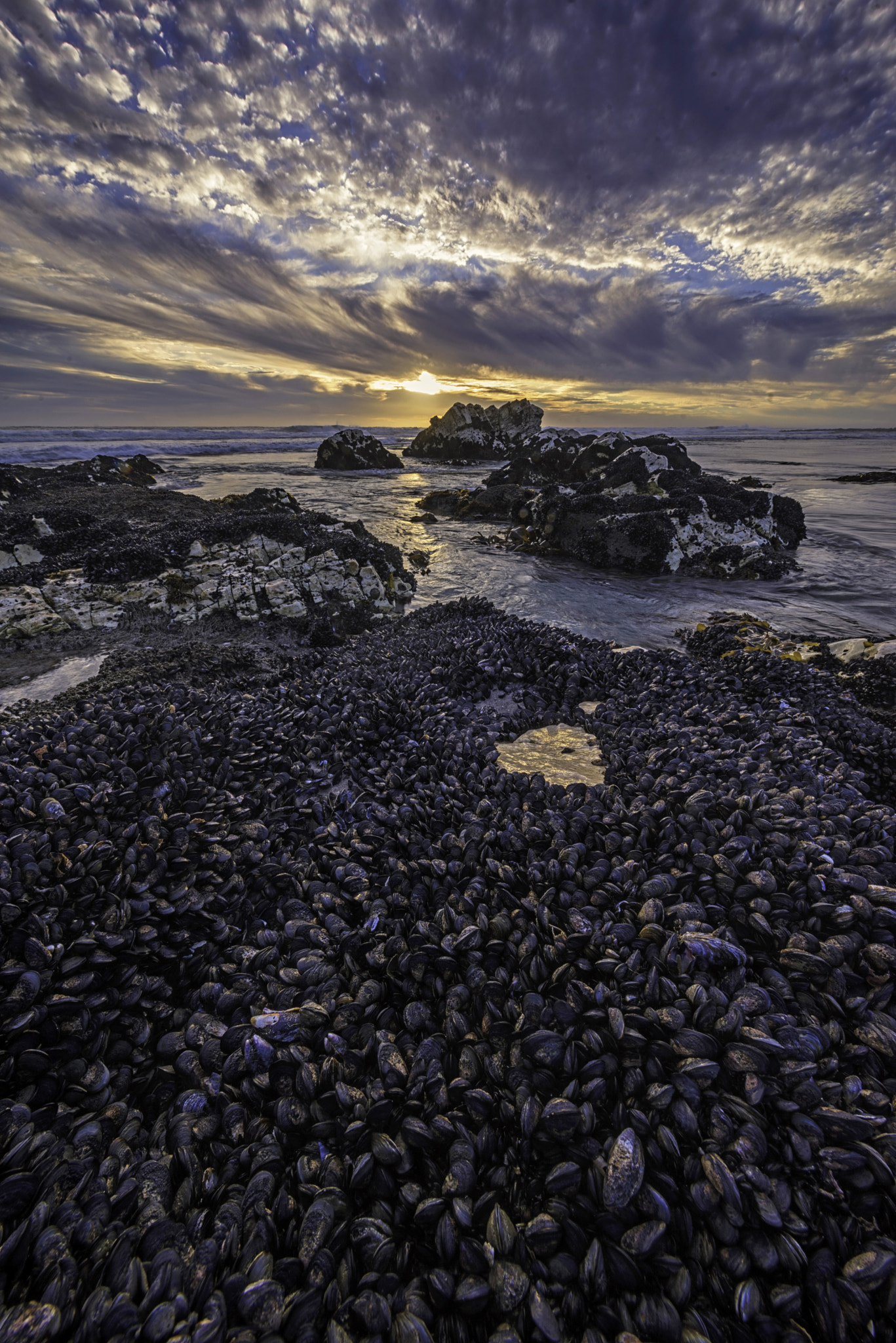 Sony a7R + Canon EF 11-24mm F4L USM sample photo. Marble beach photography