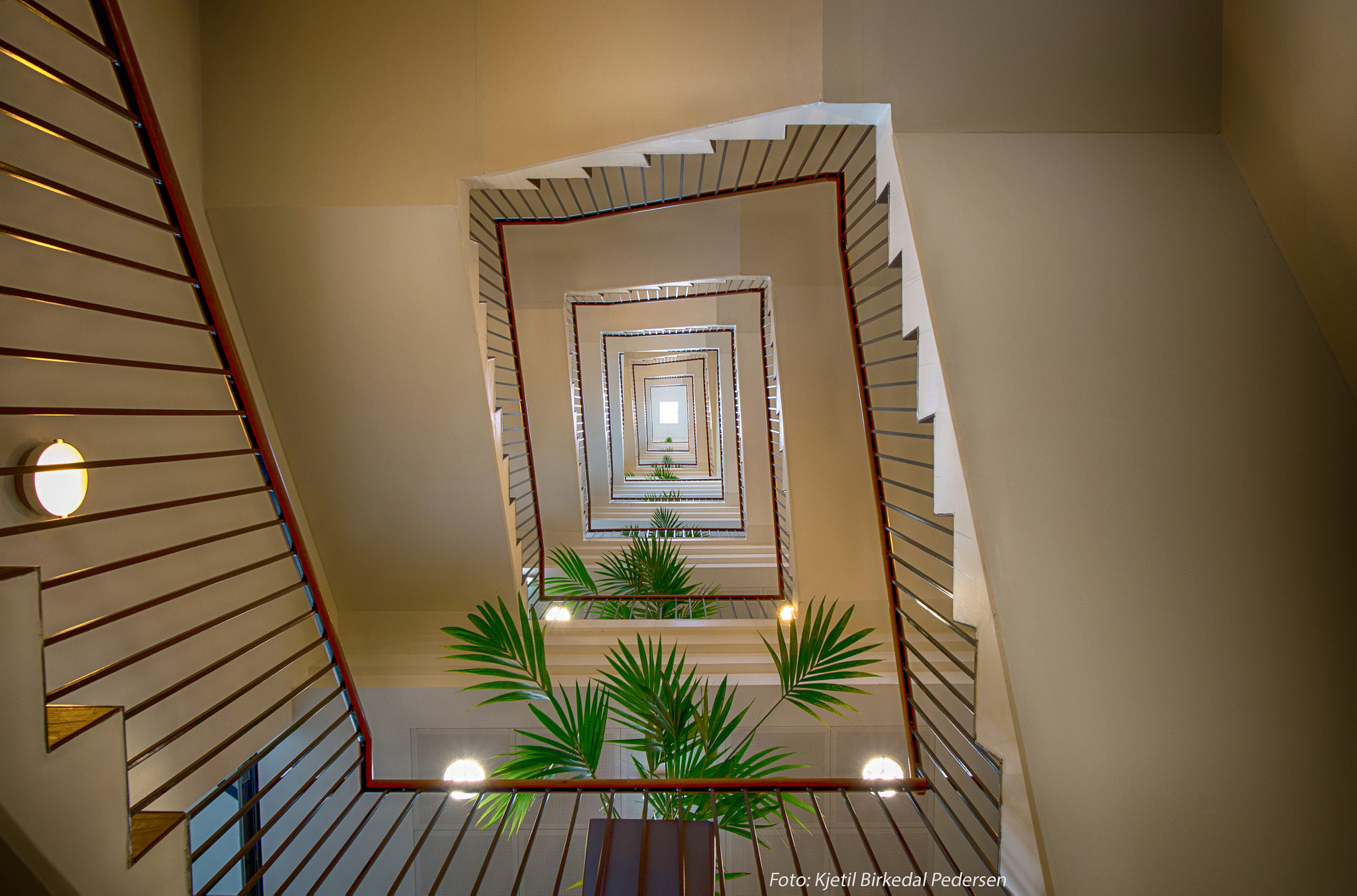 Nikon Df + Nikon AF-S Nikkor 20mm F1.8G ED sample photo. The stairs photography