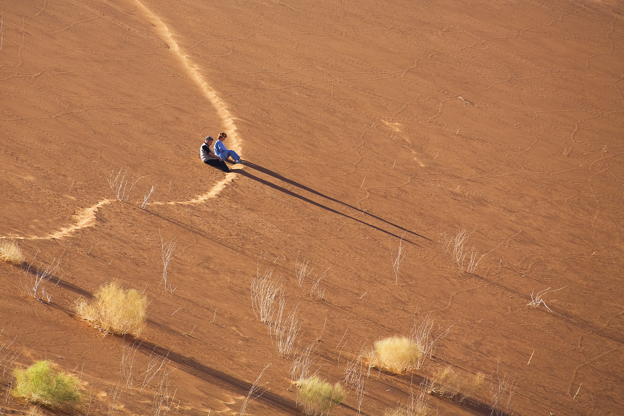 Canon EF 100-400mm F4.5-5.6L IS USM sample photo. Namib desert photography