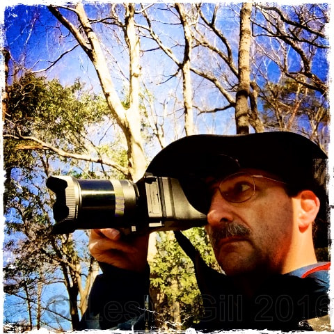 Hipstamatic 311 sample photo. Wide angle lens photography