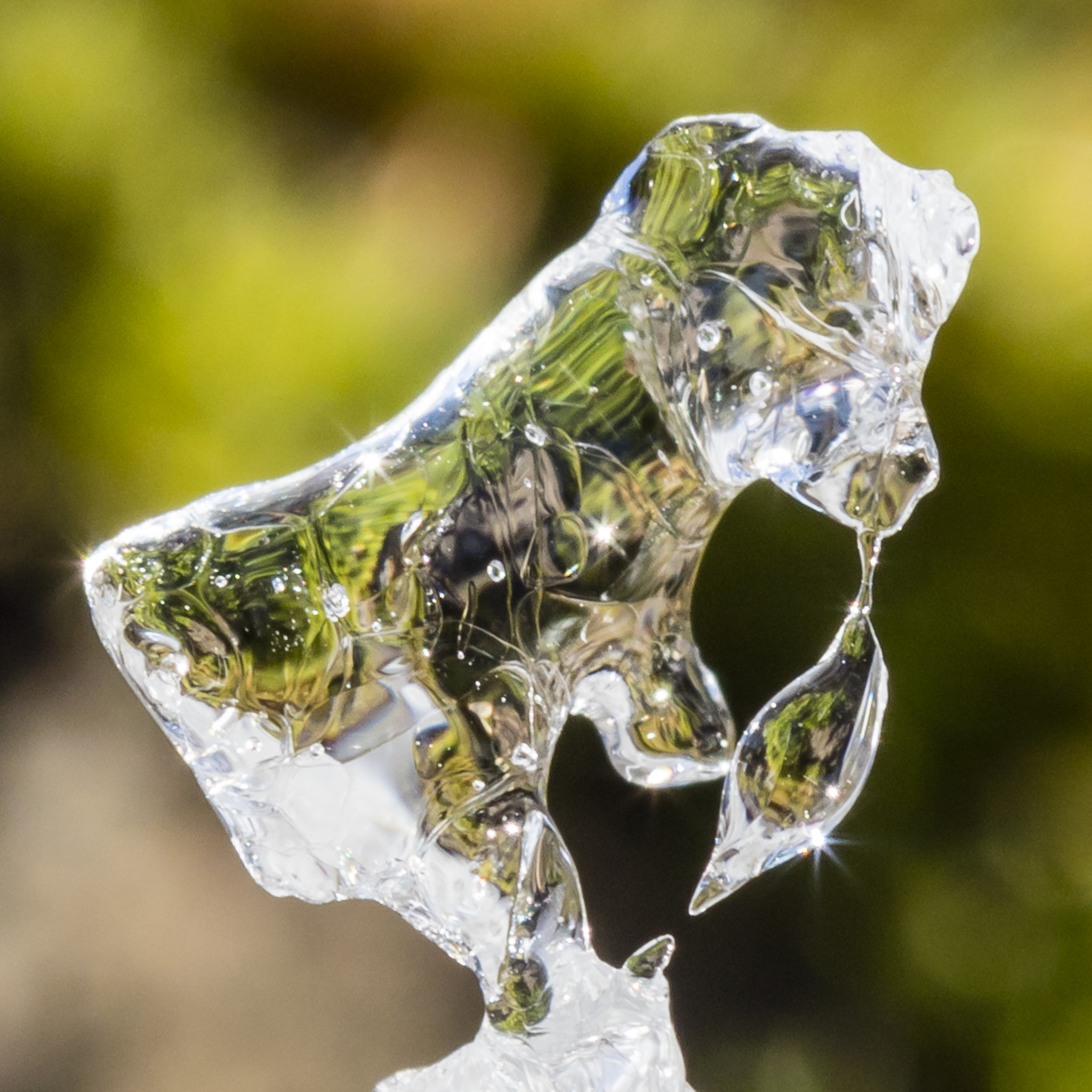 Canon EOS 5DS sample photo. Ice photography