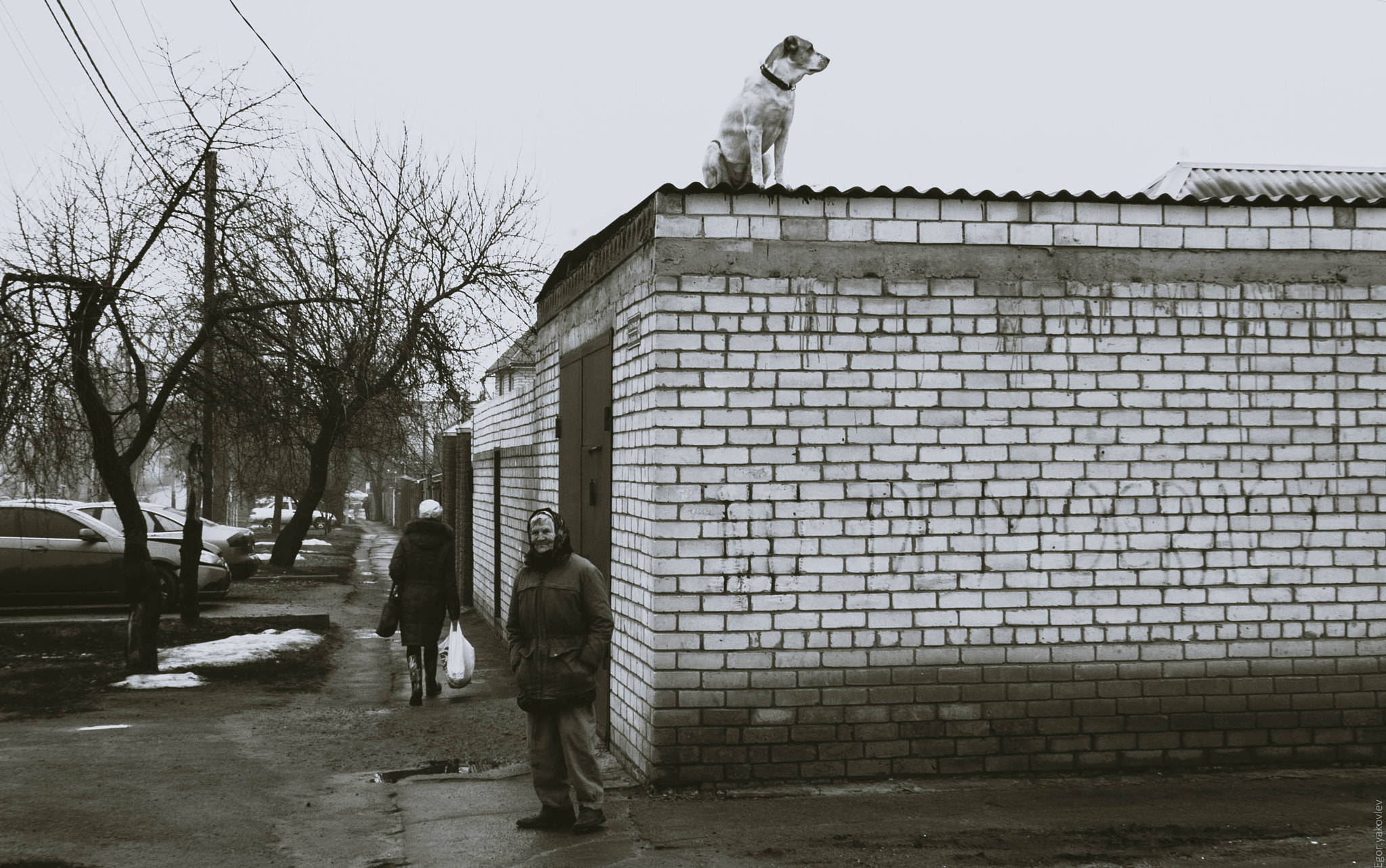 Nikon D70 sample photo. Странности photography