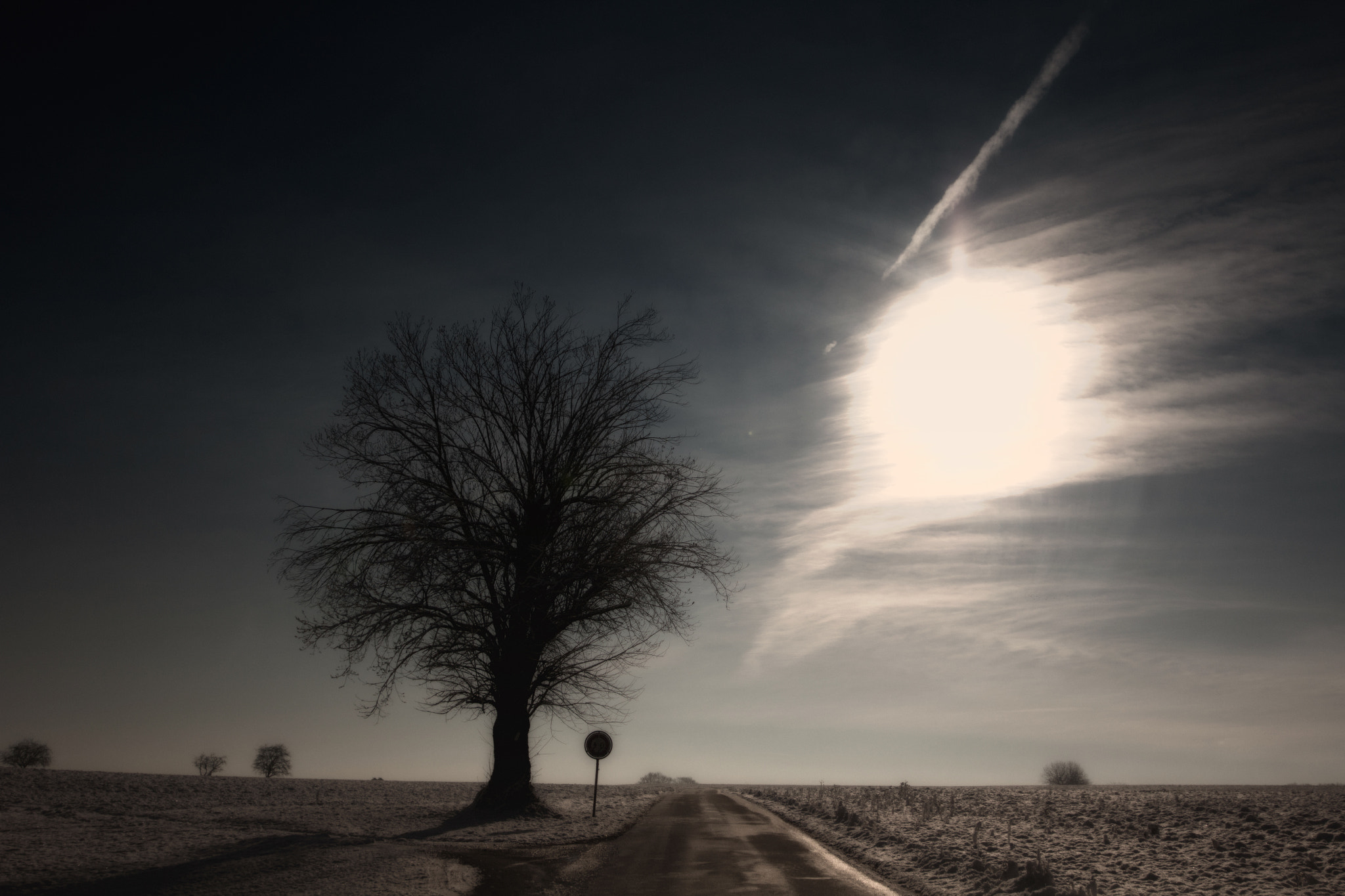 Sigma 12-24mm F4.5-5.6 II DG HSM sample photo. Arbre coeuve photography