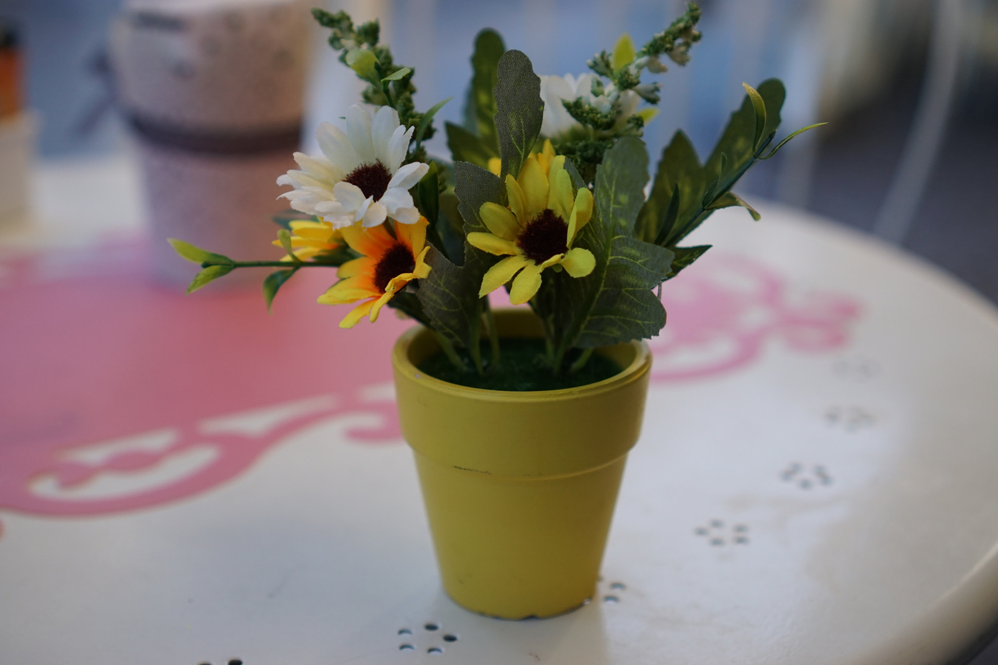 Sony a5100 + Sony E 35mm F1.8 OSS sample photo. Bonsai photography