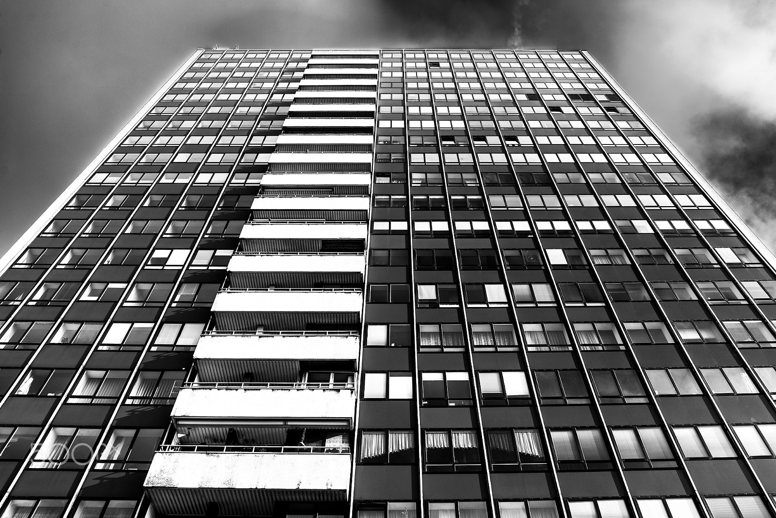 Nikon D600 sample photo. Palmaille photography