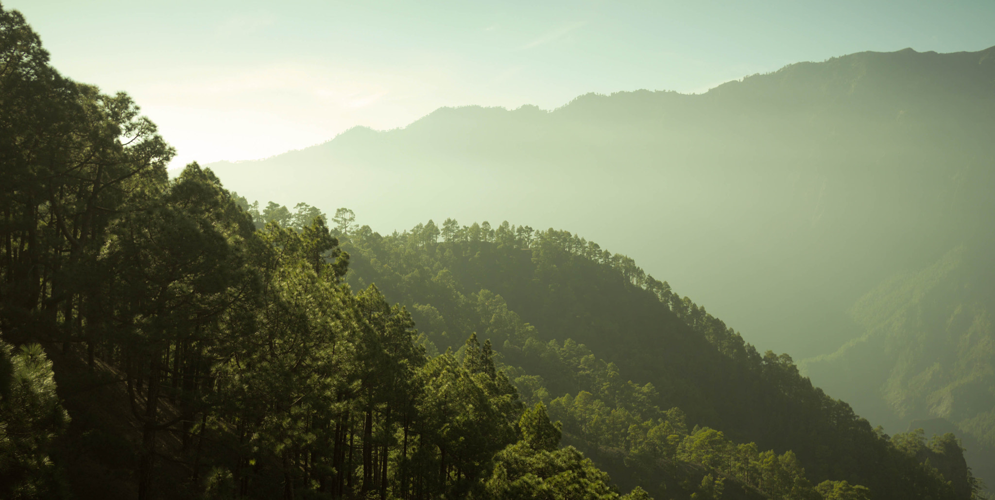 Panasonic Lumix DMC-GH3 + Panasonic Lumix G 20mm F1.7 ASPH sample photo. Caldera de taburiente photography