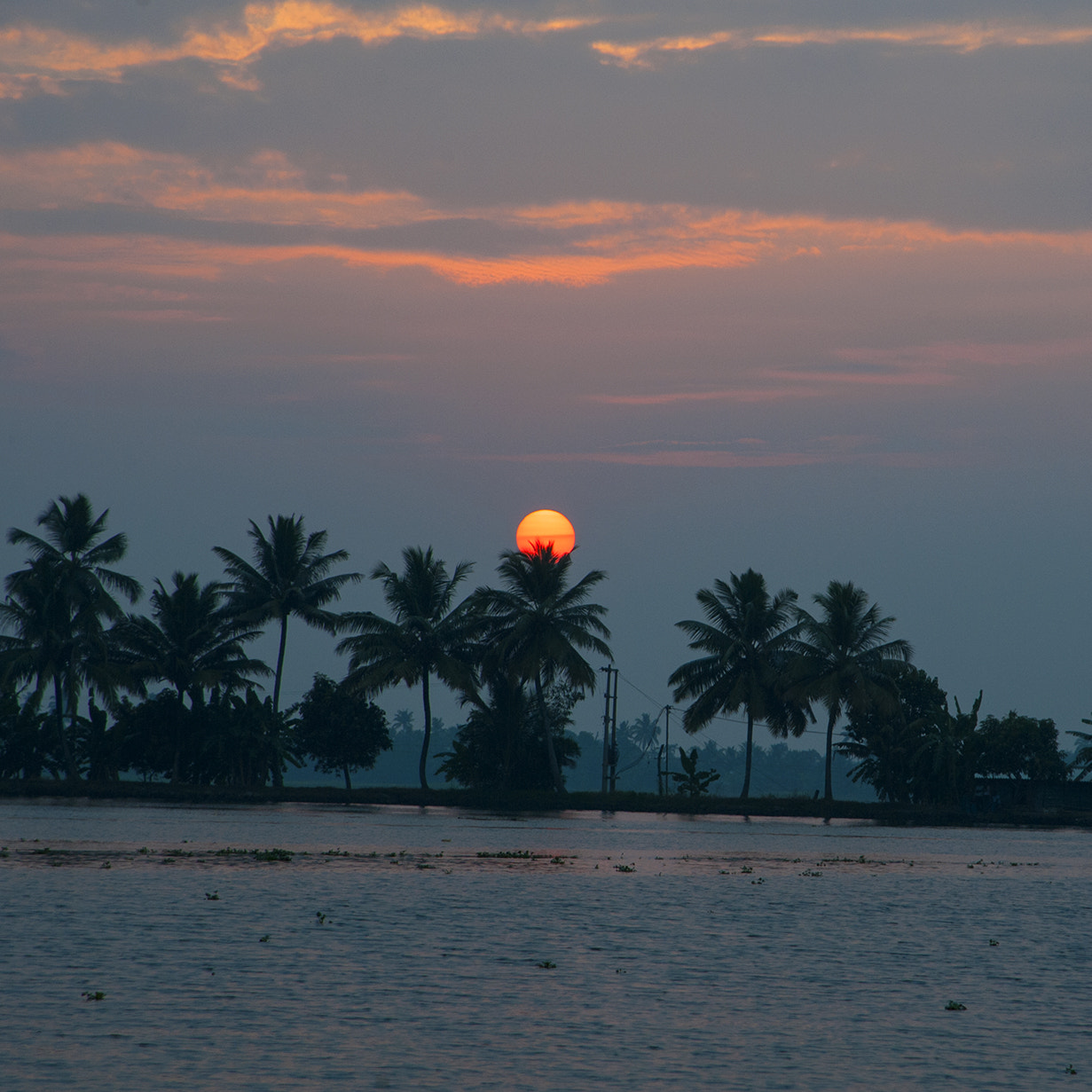 AF Zoom-Nikkor 24-120mm f/3.5-5.6D IF sample photo