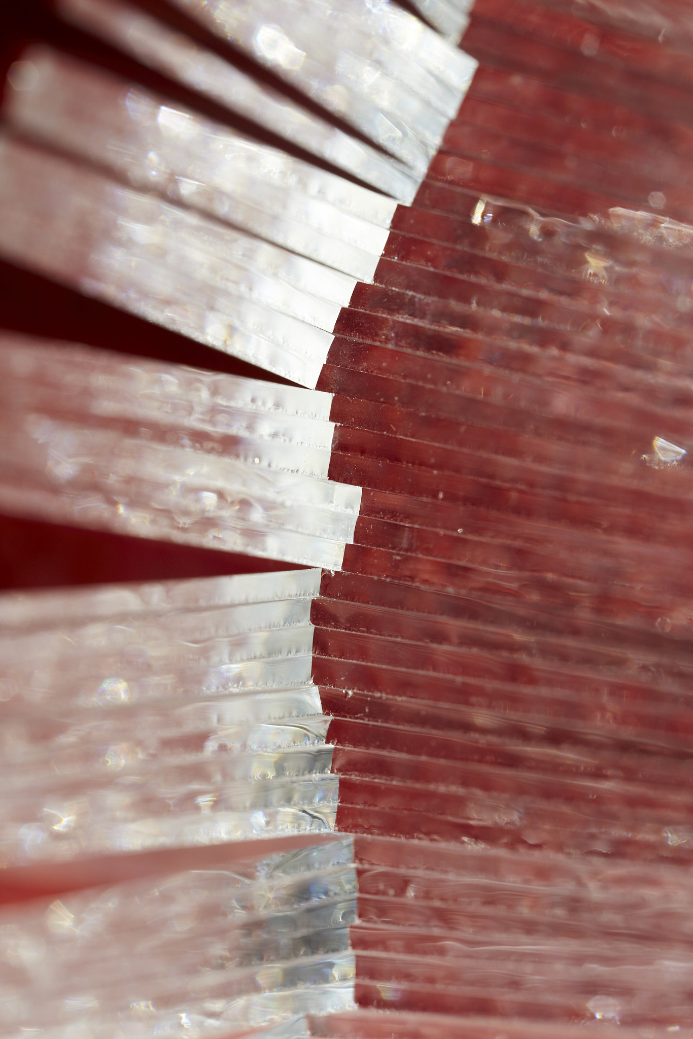 Canon MP-E 65mm F2.5 1-5x Macro Photo sample photo. Crystal lines in red photography