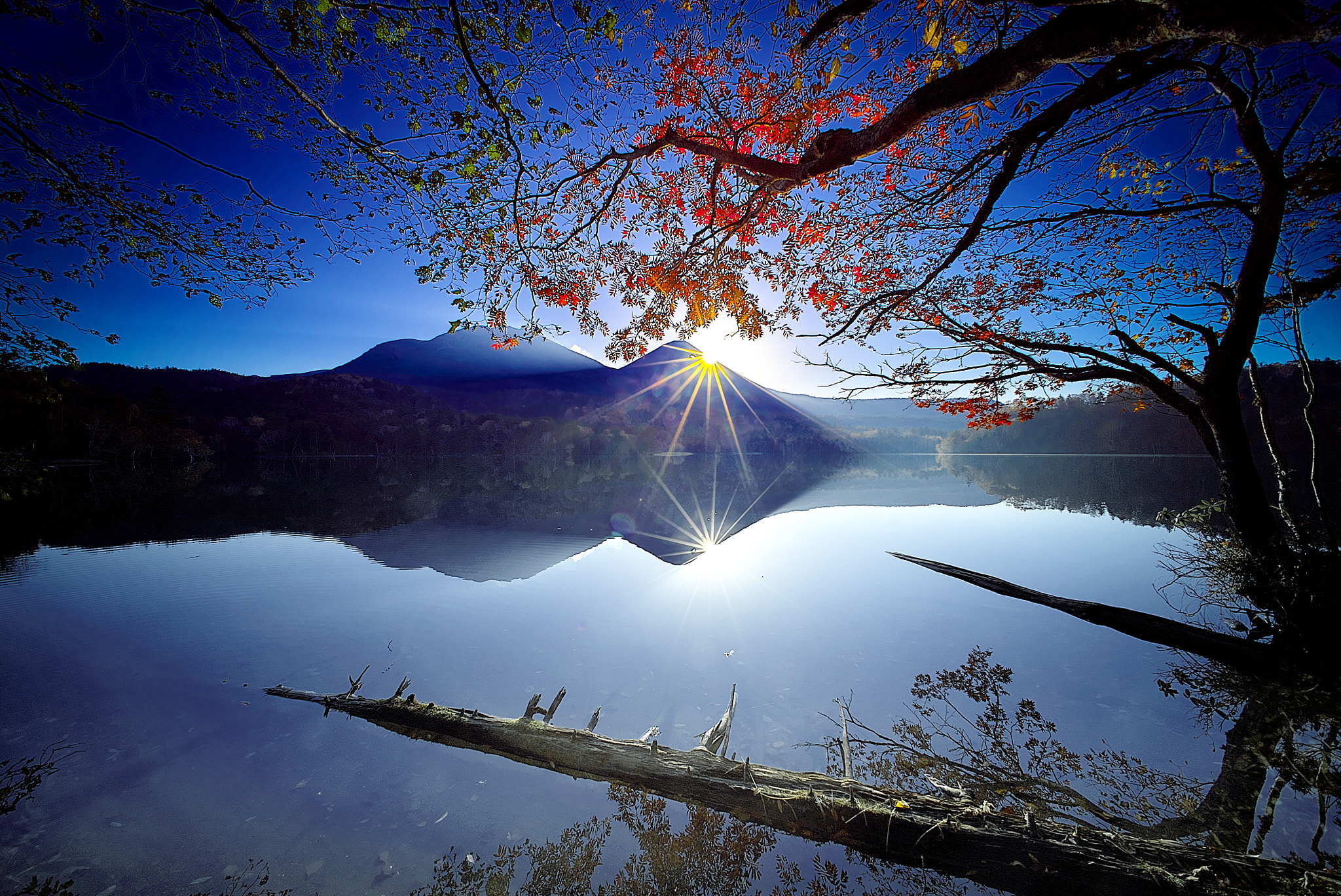 Sony a7S sample photo. Silhouetto of autumn photography