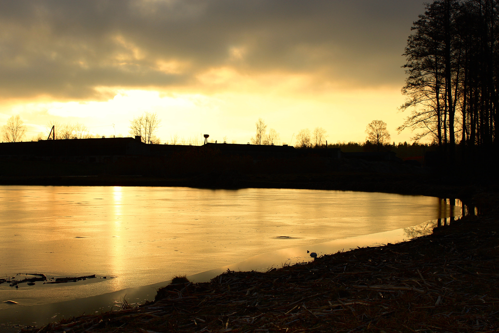 Canon EF-S 18-55mm F3.5-5.6 III sample photo. Sunset in march- it is cold but you can feel spring coming. photography