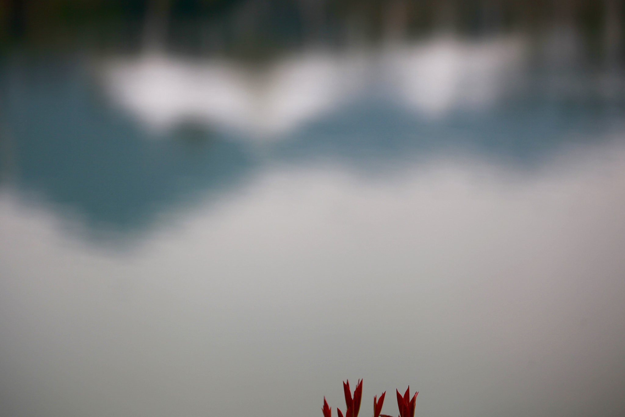 Canon EF 70-200mm F4L IS USM sample photo