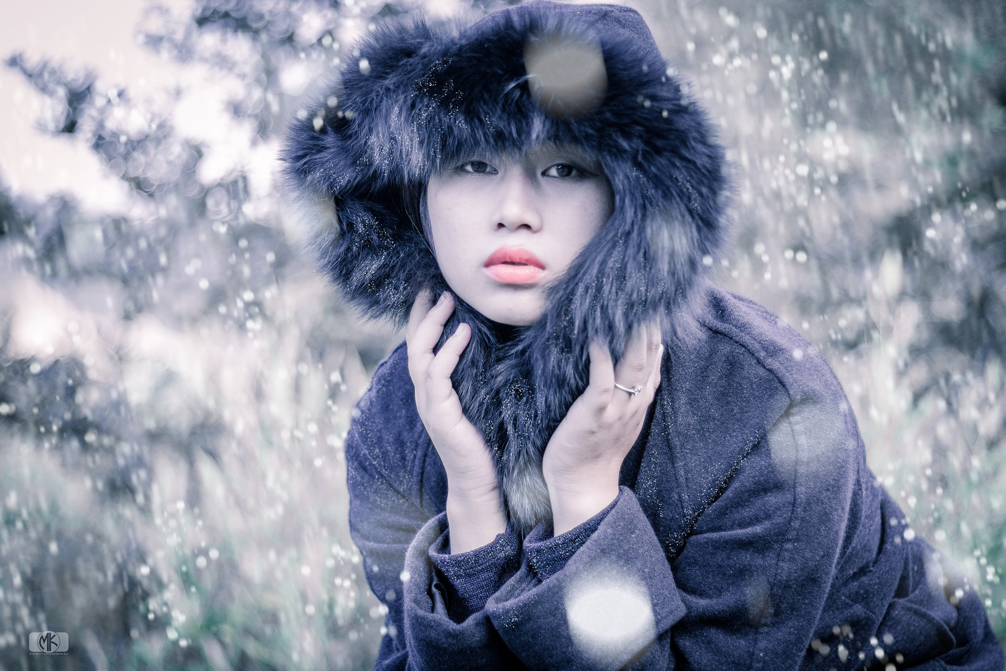 Canon EOS 450D (EOS Rebel XSi / EOS Kiss X2) sample photo. Winter in viet nam ^^ photography