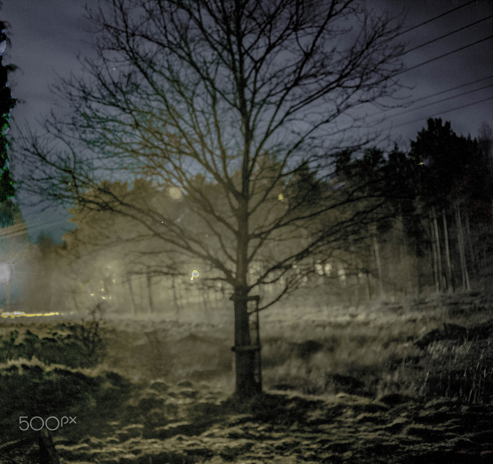 Canon EF 35-135mm f/4-5.6 USM sample photo. March night photography