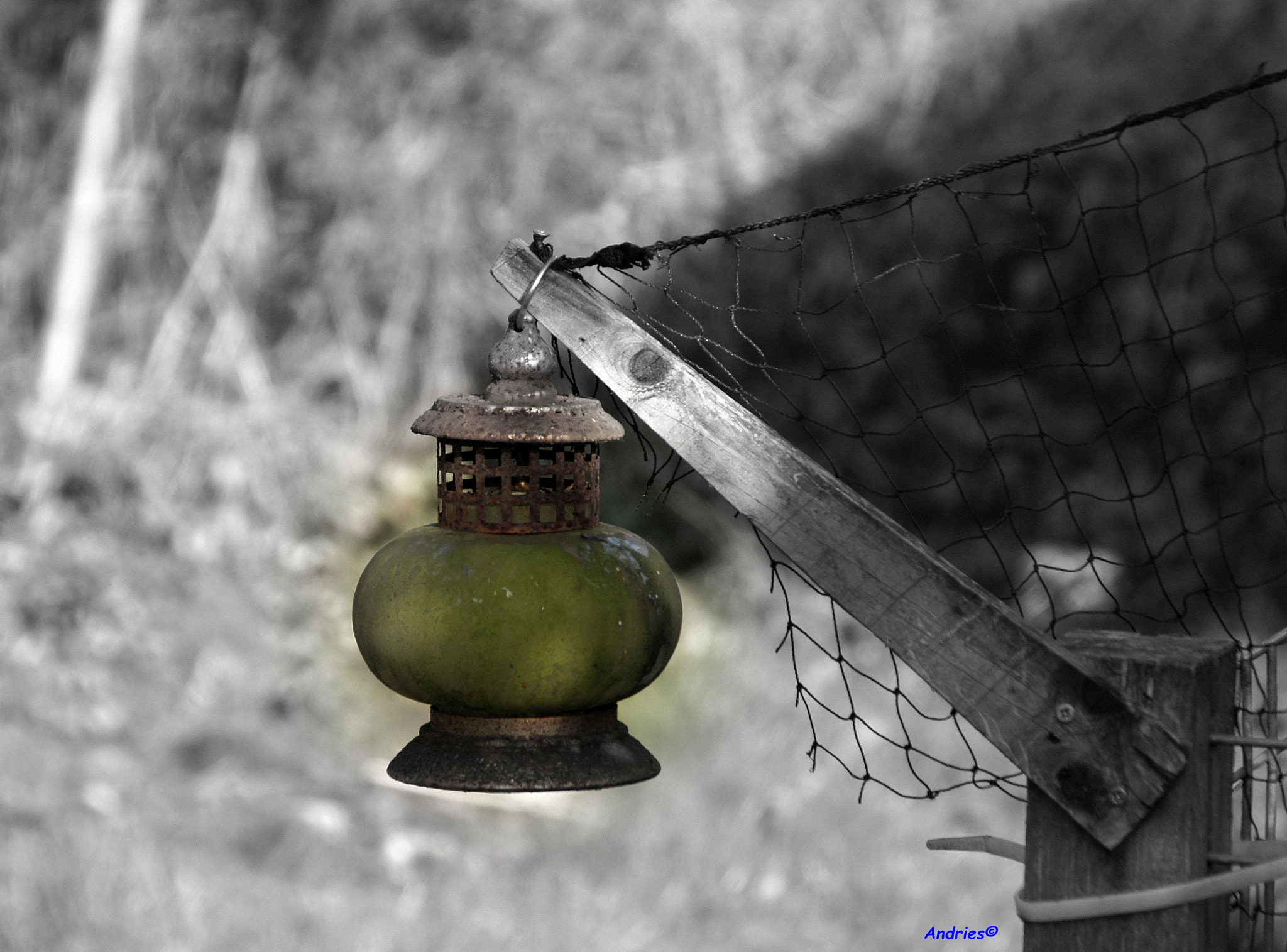Sony Alpha DSLR-A500 sample photo. Light in the dark photography