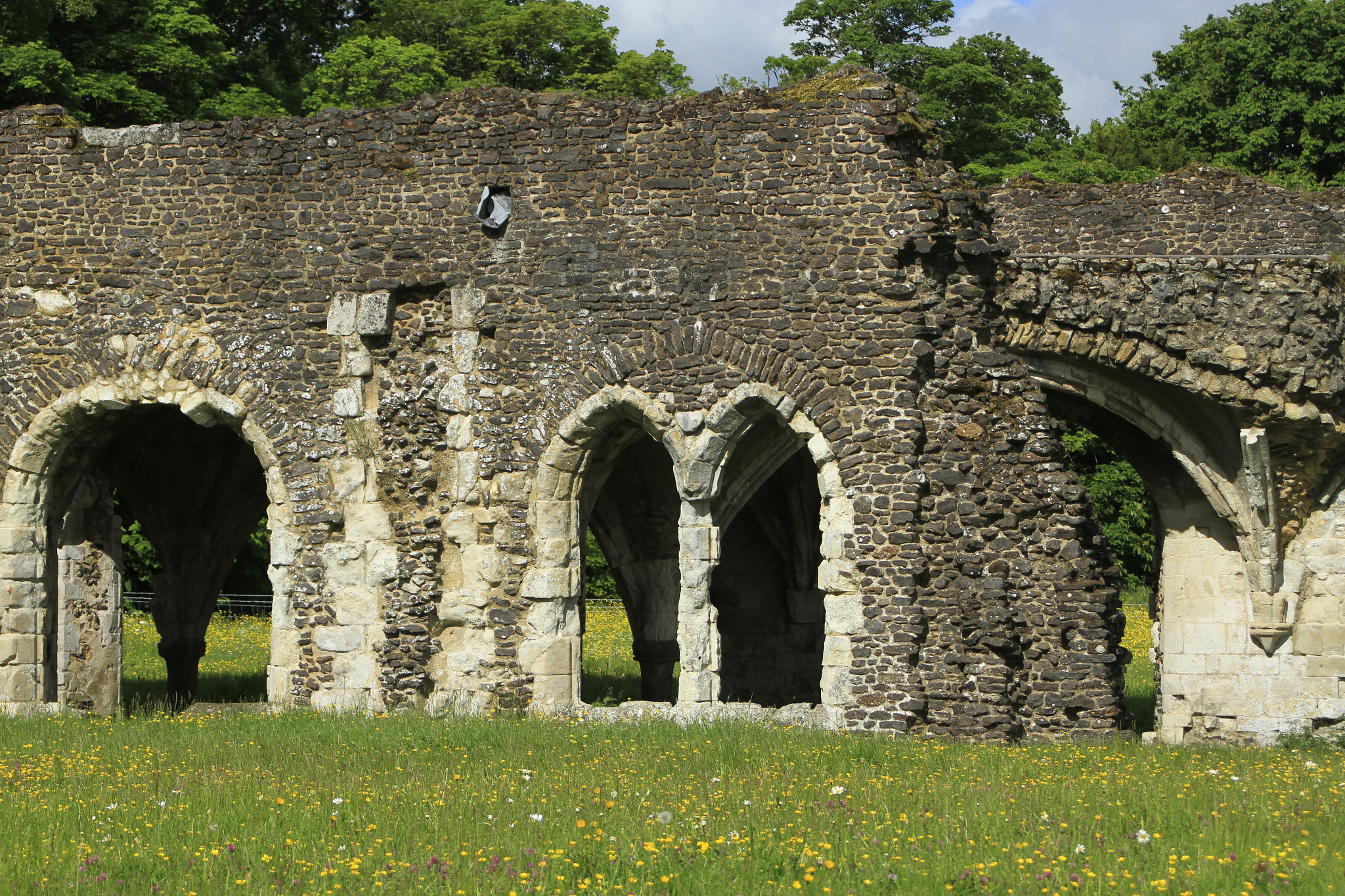 Canon EOS 7D + Canon EF 28-80mm f/3.5-5.6 USM IV sample photo. Waverley abbey ruins photography