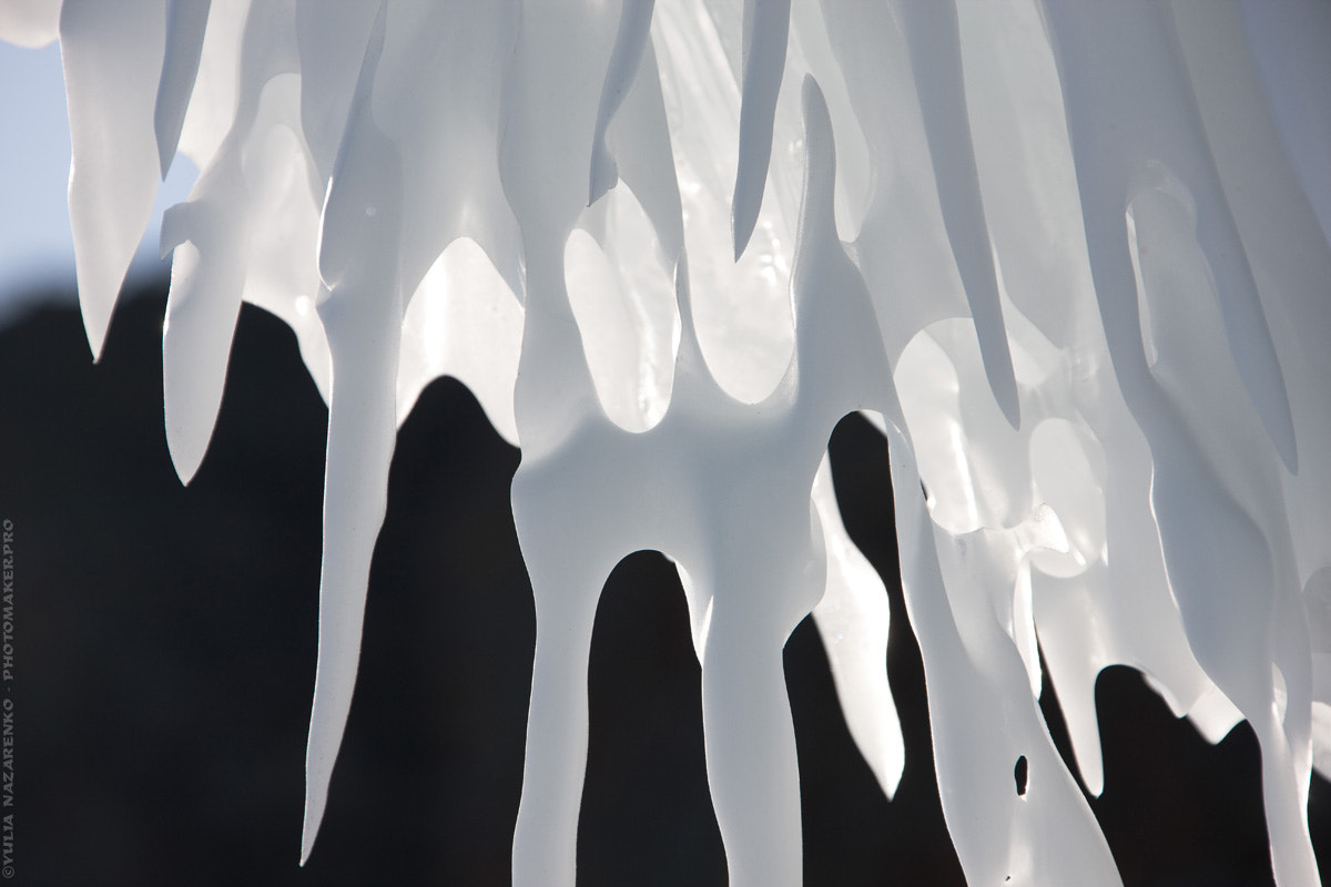 Canon EOS-1Ds Mark III sample photo. Sunny porcelain icicles photography