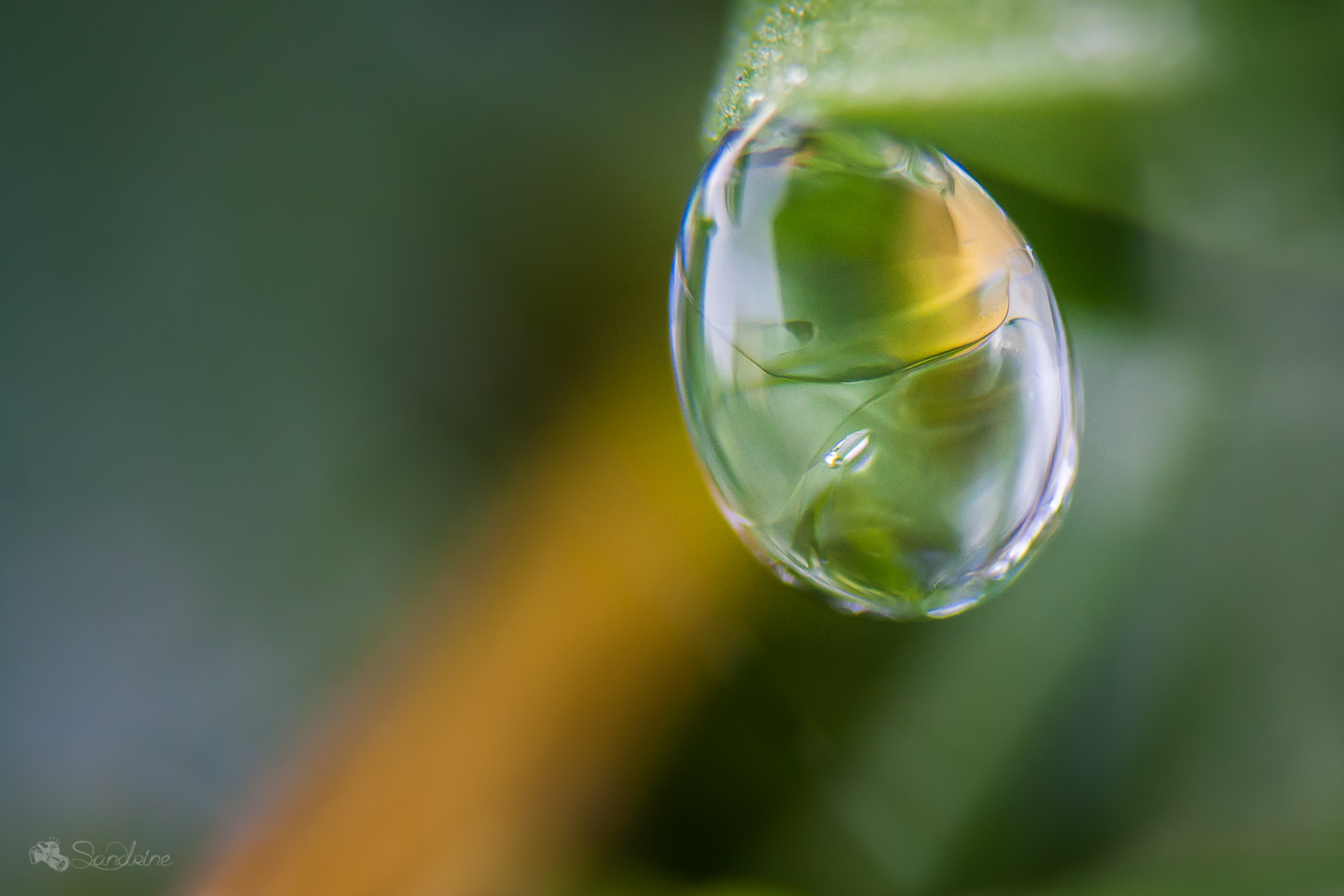 Canon EF 28-80mm f/3.5-5.6 sample photo. Tear photography