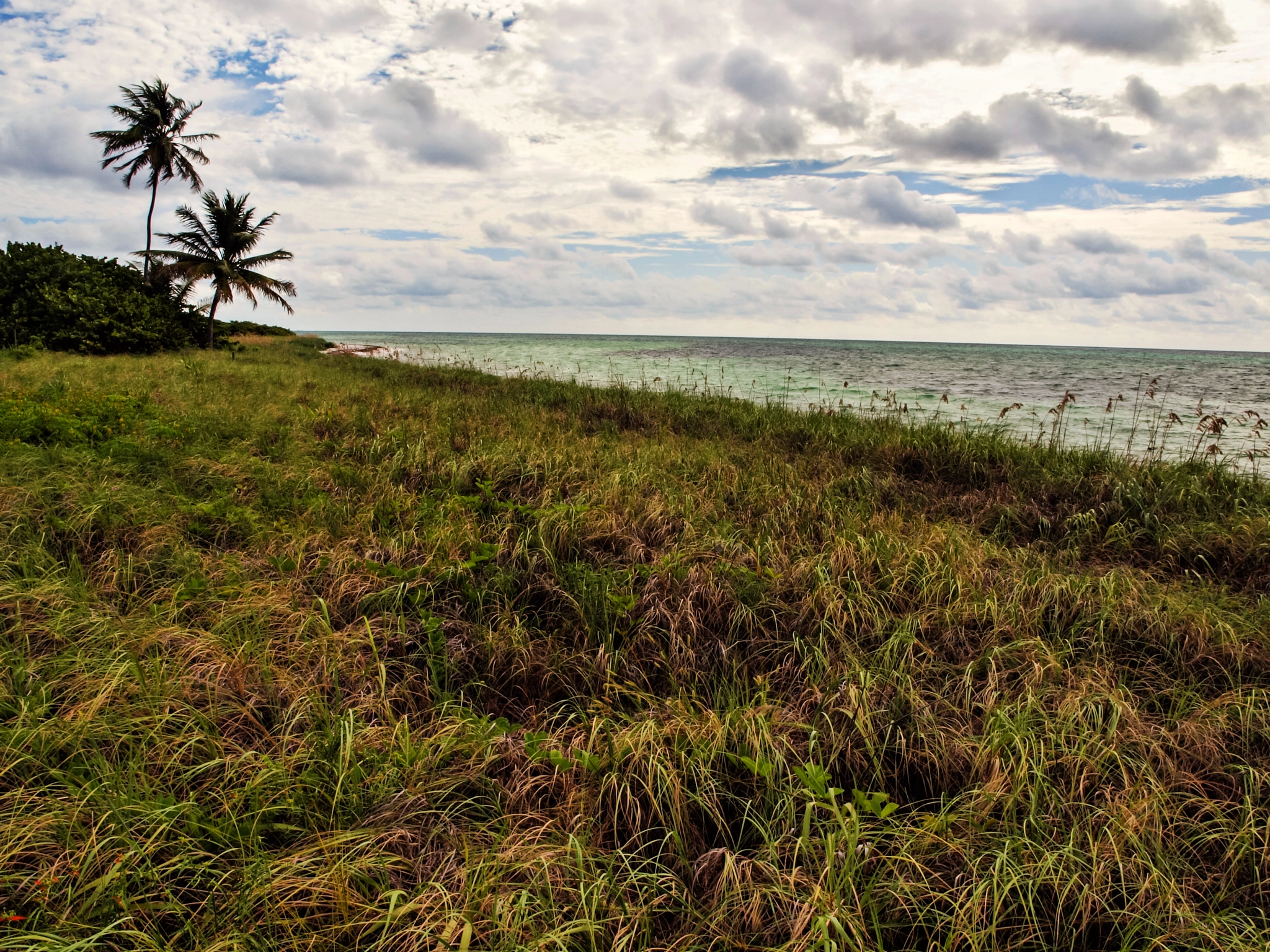 Olympus E-600 (EVOLT E-600) sample photo. Beachfront property at bahia honda photography