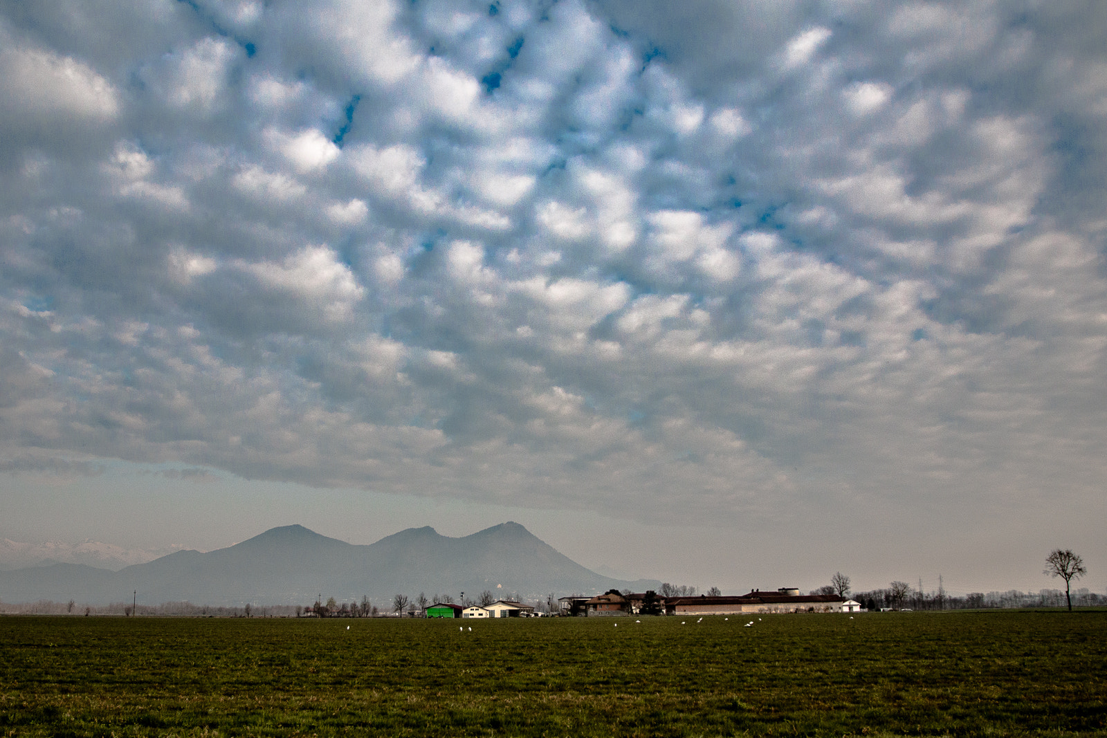 Canon EOS 70D + Canon EF 500mm F4L IS USM sample photo. Il mattino al cascinale photography