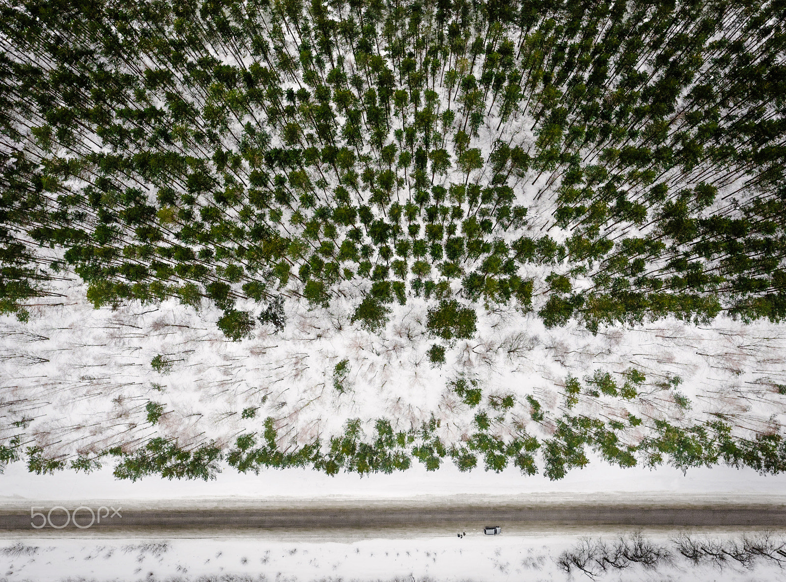 Panasonic Lumix DMC-GH4 + OLYMPUS M.12mm F2.0 sample photo. Winter wood from height photography