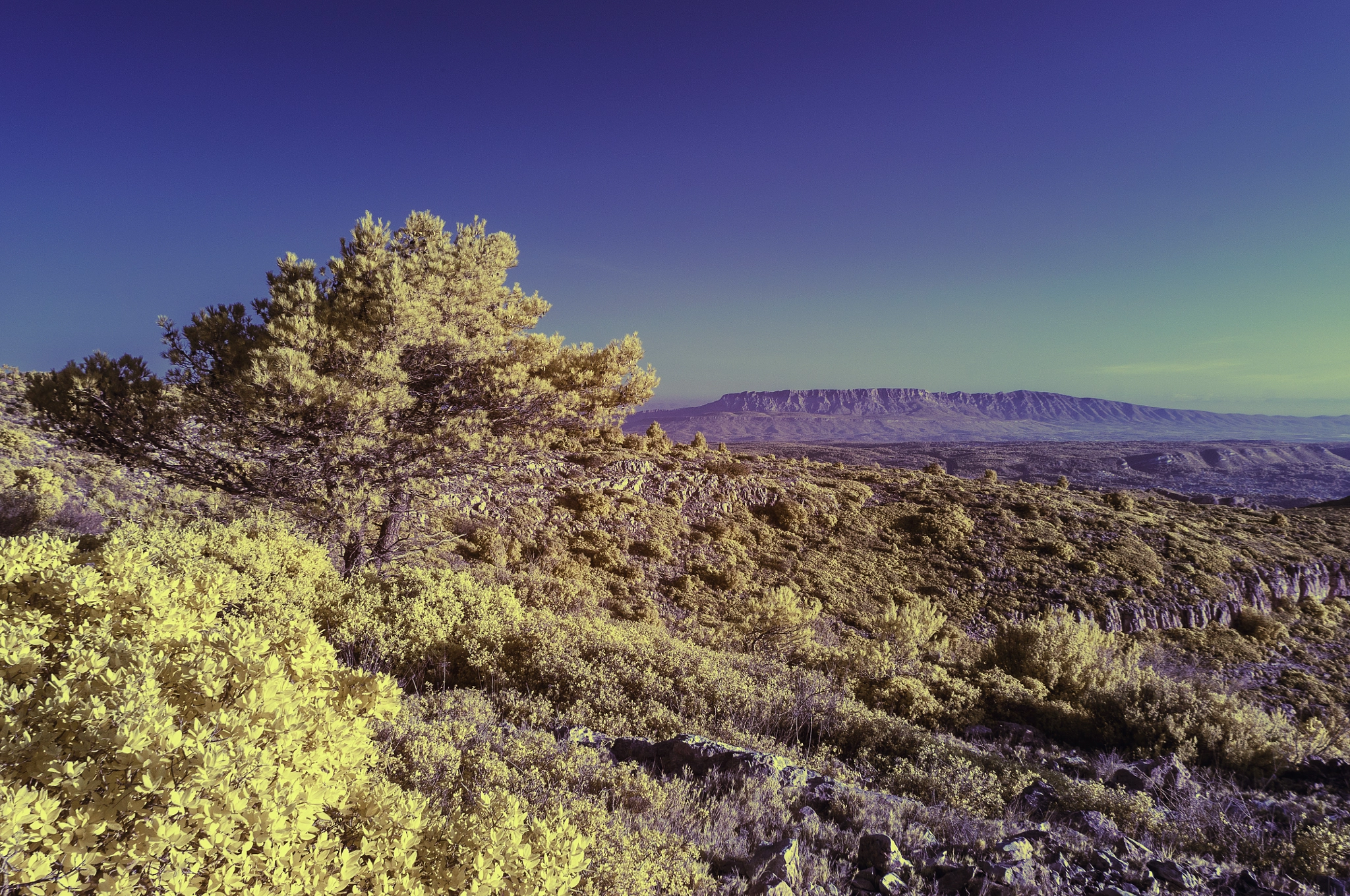 Nikon D90 + Sigma 20mm F1.8 EX DG Aspherical RF sample photo. Sainte victoire photography