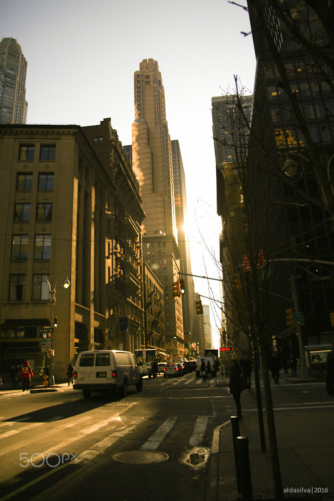 Sigma 17-70mm F2.8-4 DC Macro OS HSM sample photo. First in nyc'016 photography