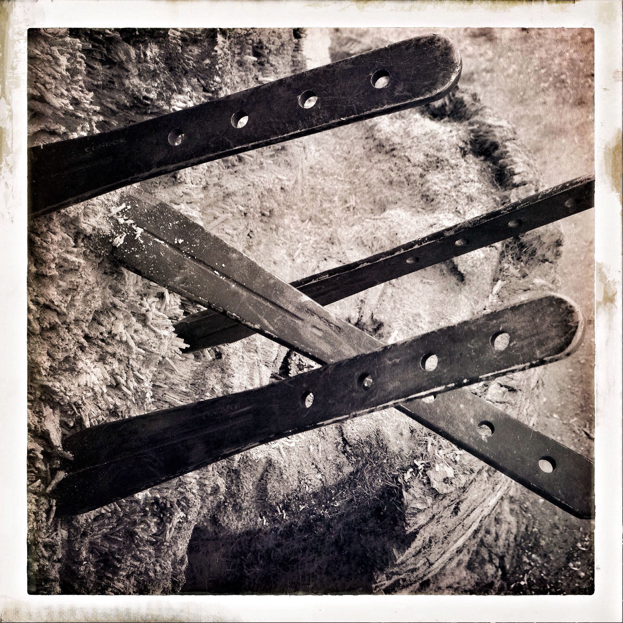 Hipstamatic 311 sample photo. Throwing . photography